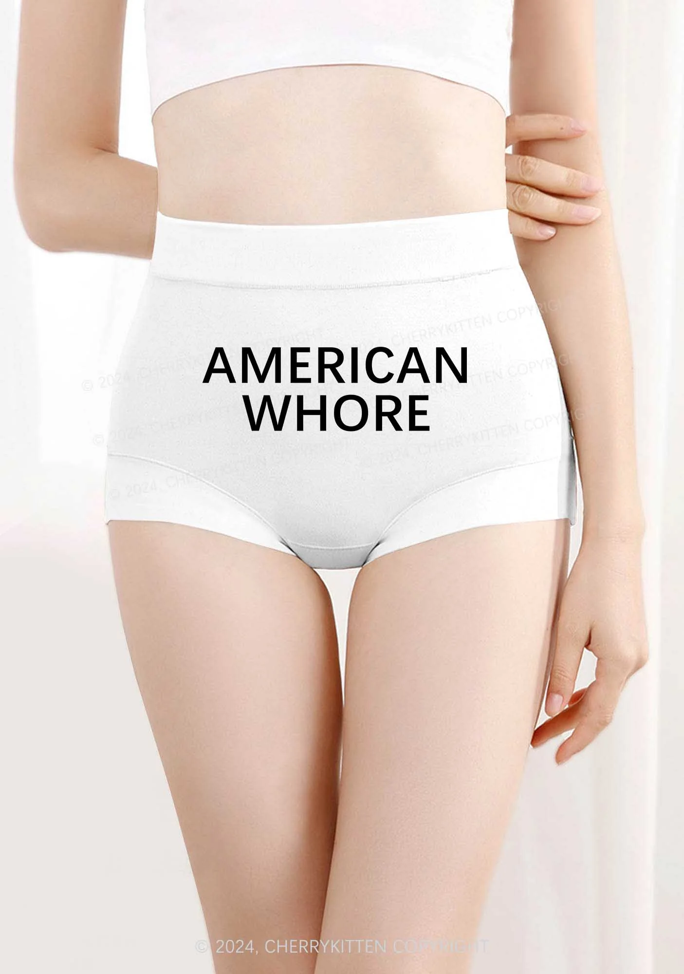 American Hore Y2K Mid Rise Waist Boyshort Cherrykitten - Image 4