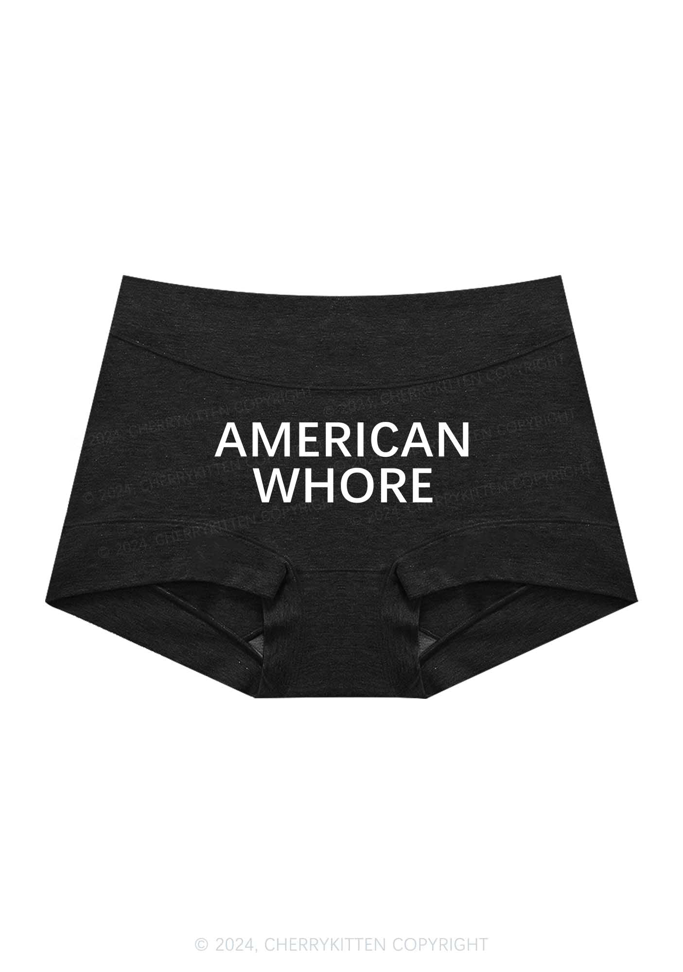 American Hore Y2K Mid Rise Waist Boyshort Cherrykitten - Image 5