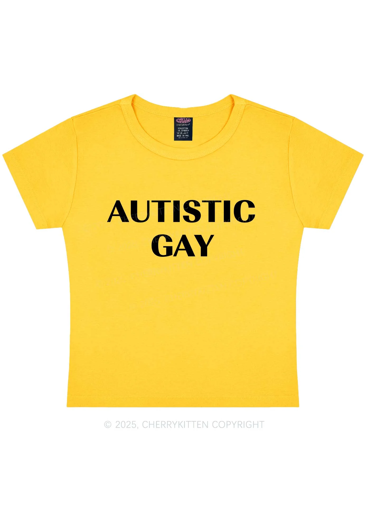 Autistic Gay Pride Y2K Baby Tee Cherrykitten - Image 5