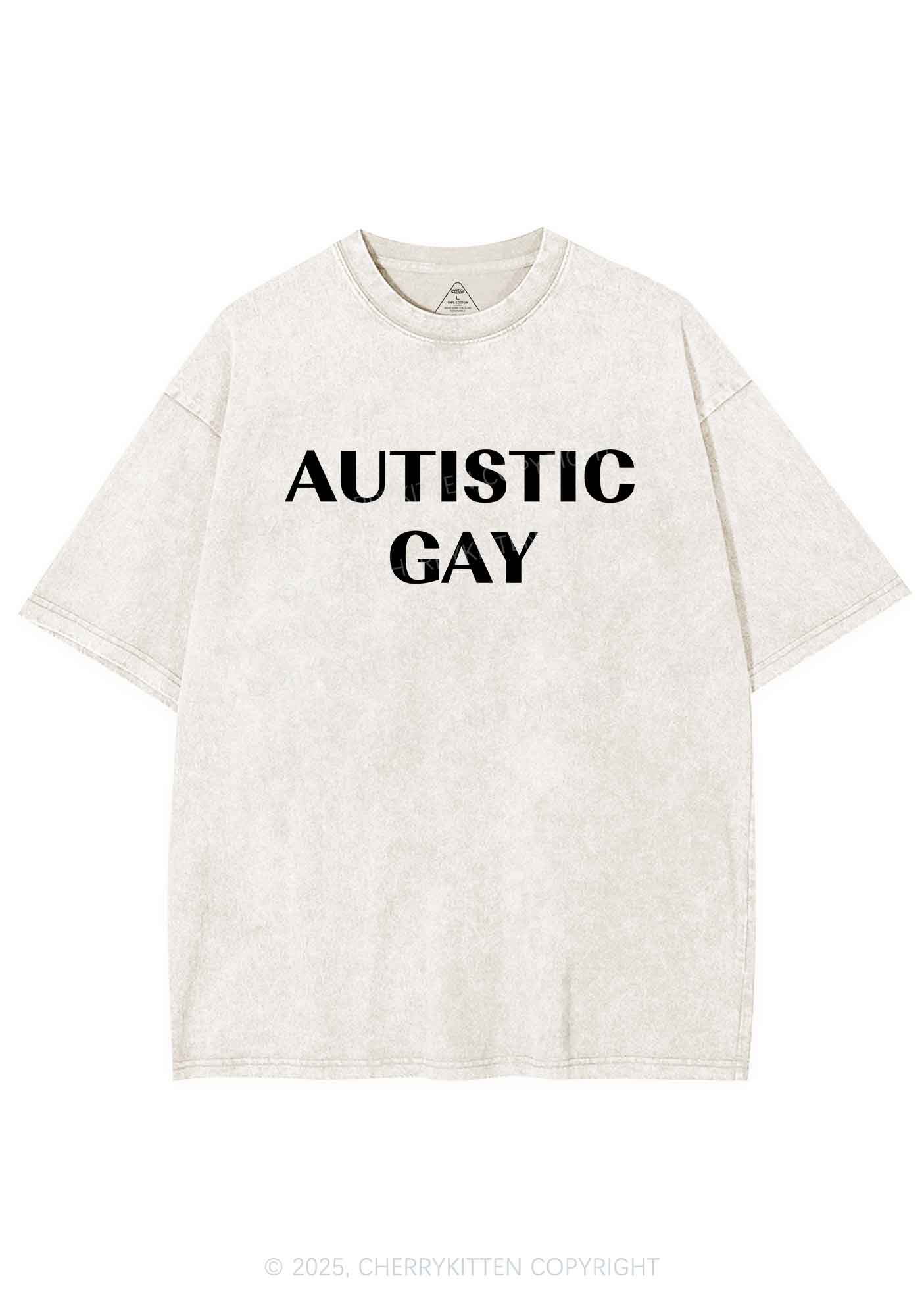 Autistic Gay Pride Y2K Shirts Washed Tee Cherrykitten - Image 4