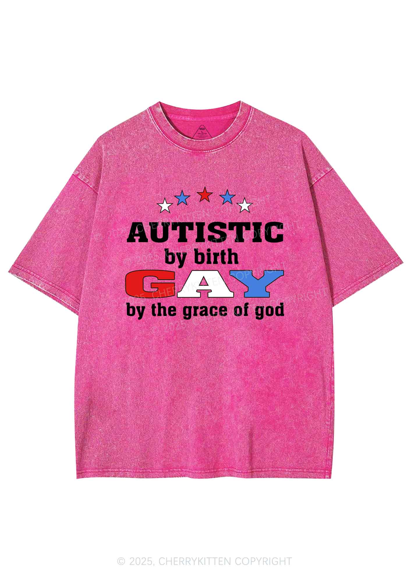 Autistic By Birth Gay Pride Y2K Shirts Washed Tee Cherrykitten - Image 3