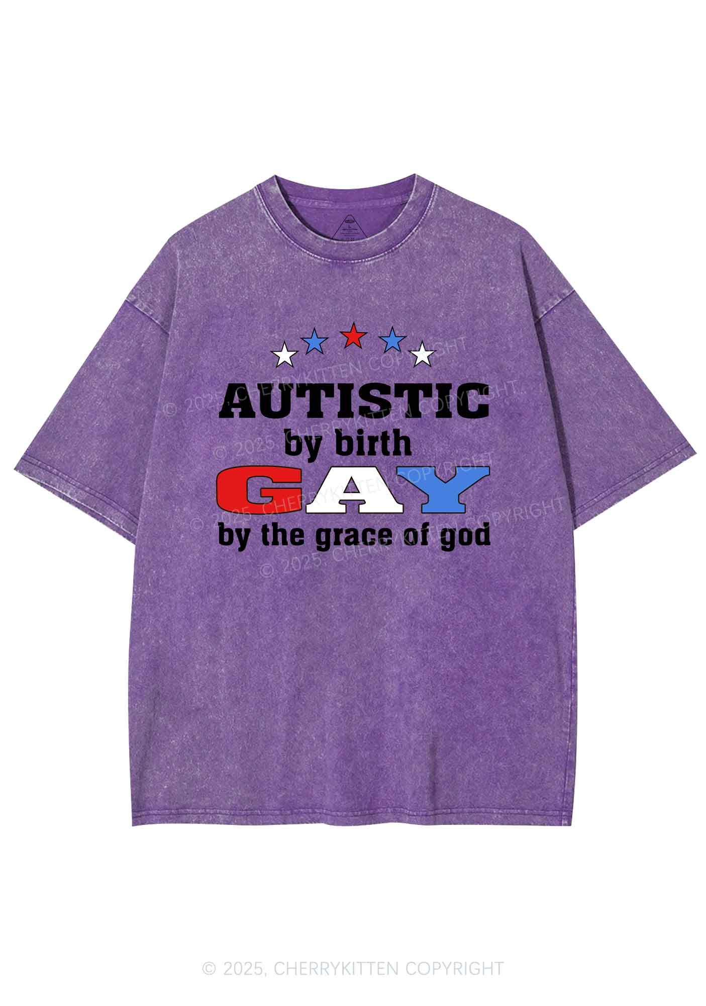 Autistic By Birth Gay Pride Y2K Shirts Washed Tee Cherrykitten - Image 4