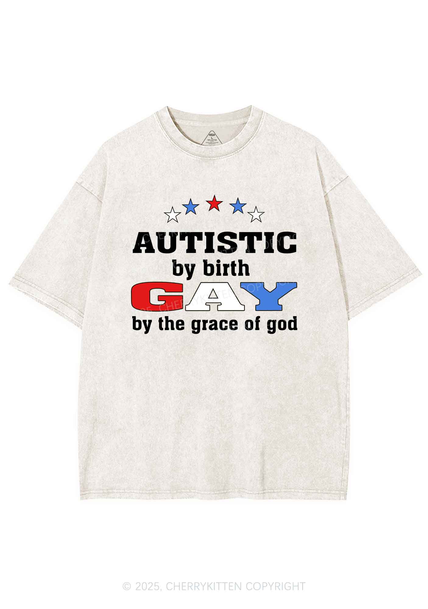 Autistic By Birth Gay Pride Y2K Shirts Washed Tee Cherrykitten - Image 5
