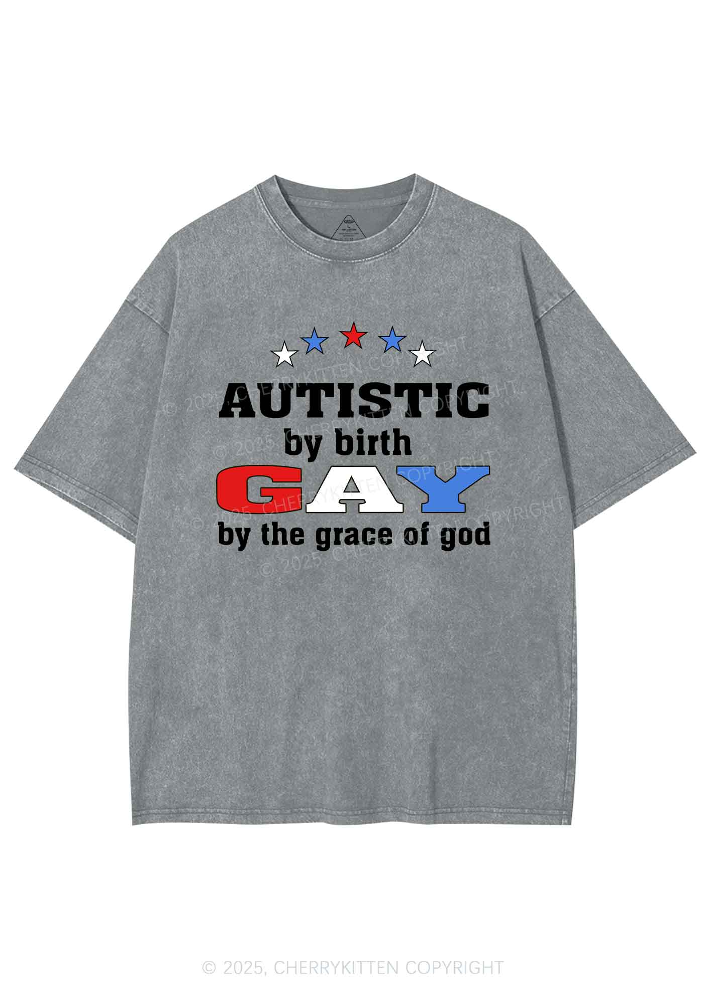 Autistic By Birth Gay Pride Y2K Shirts Washed Tee Cherrykitten - Image 6