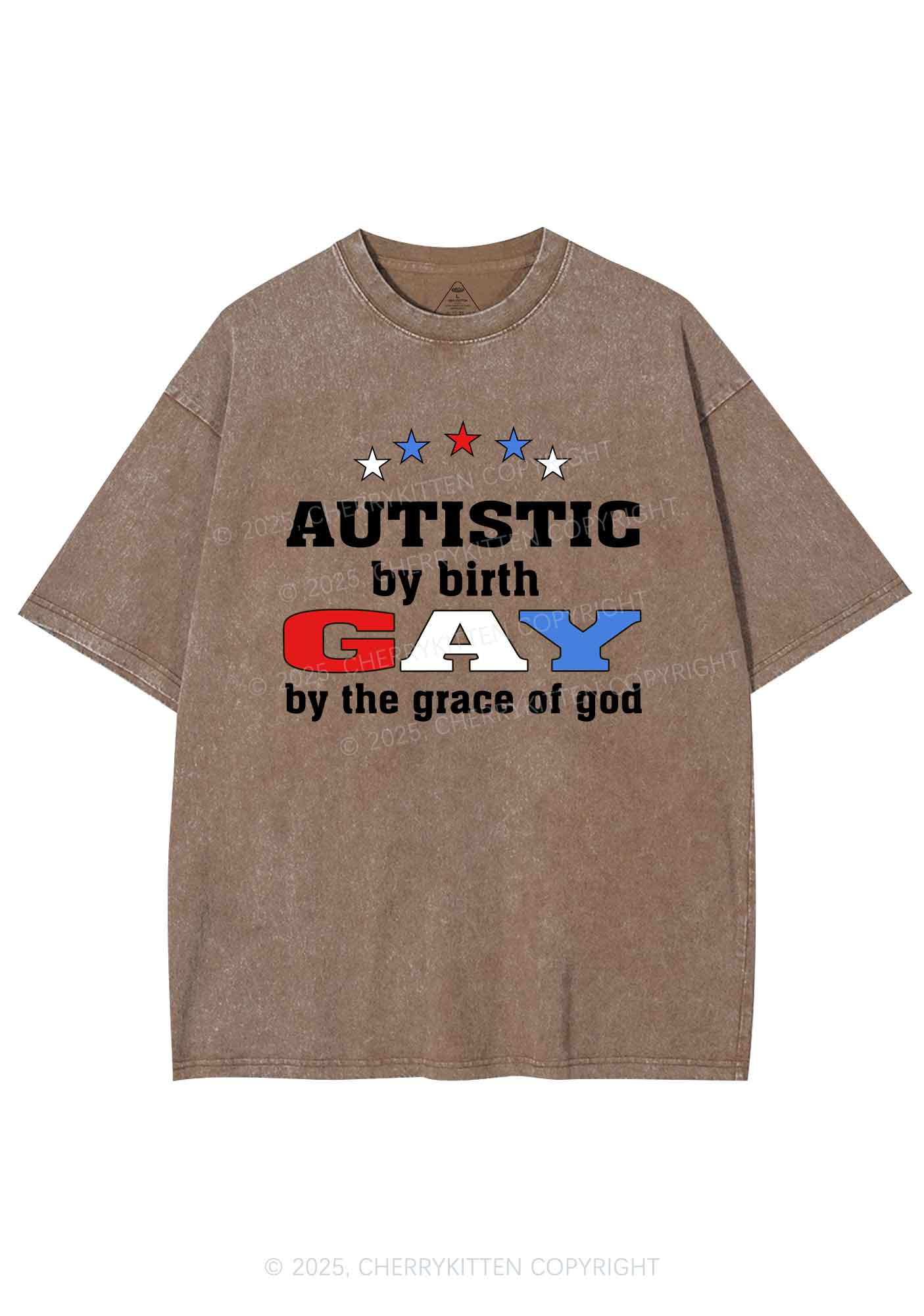 Autistic By Birth Gay Pride Y2K Shirts Washed Tee Cherrykitten - Image 7