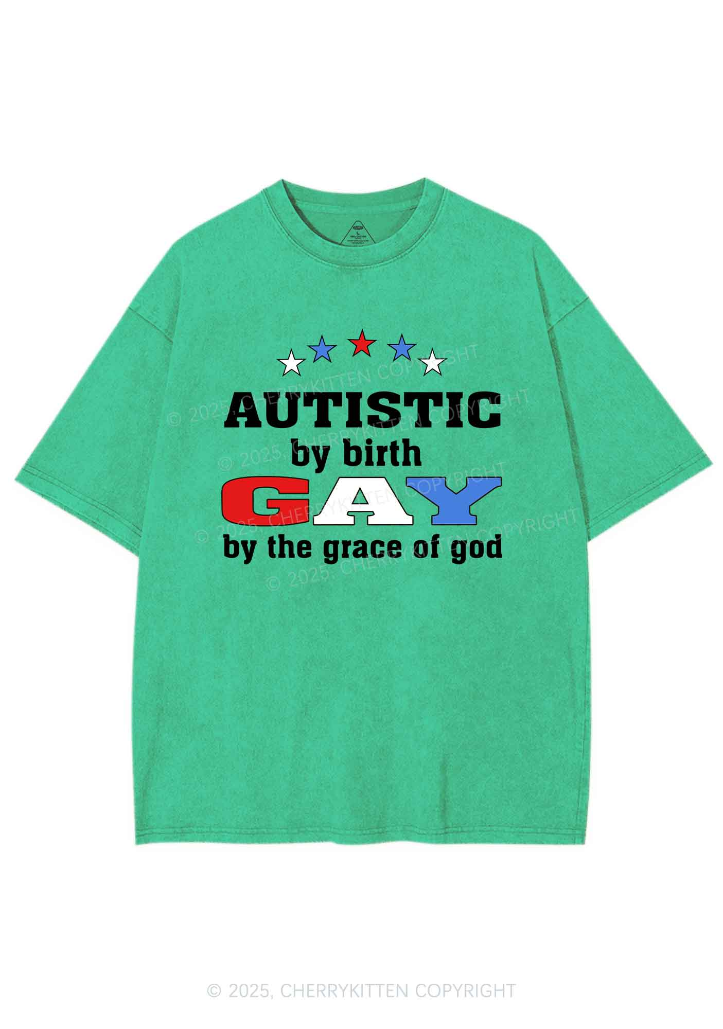 Autistic By Birth Gay Pride Y2K Shirts Washed Tee Cherrykitten - Image 8