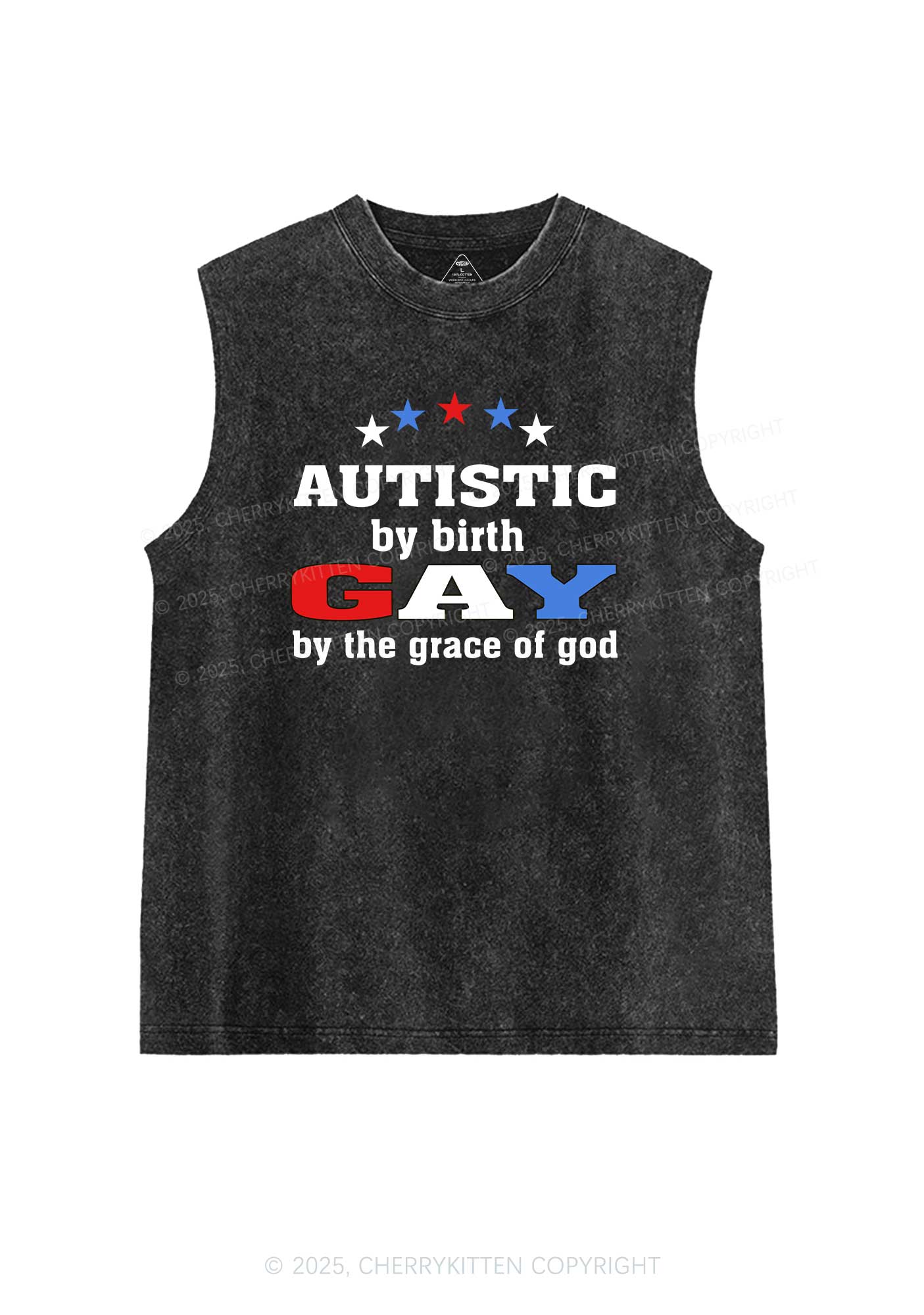 Autistic By Birth Gay Pride Y2K Washed Muscle Tank Cherrykitten - Image 3