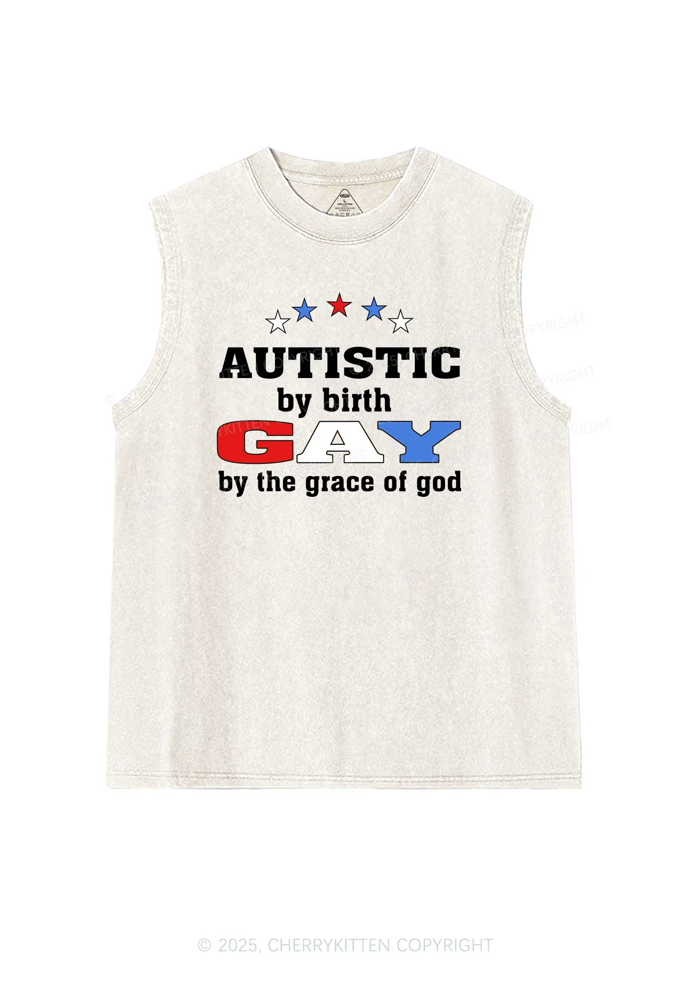 Autistic By Birth Gay Pride Y2K Washed Muscle Tank Cherrykitten - Image 4