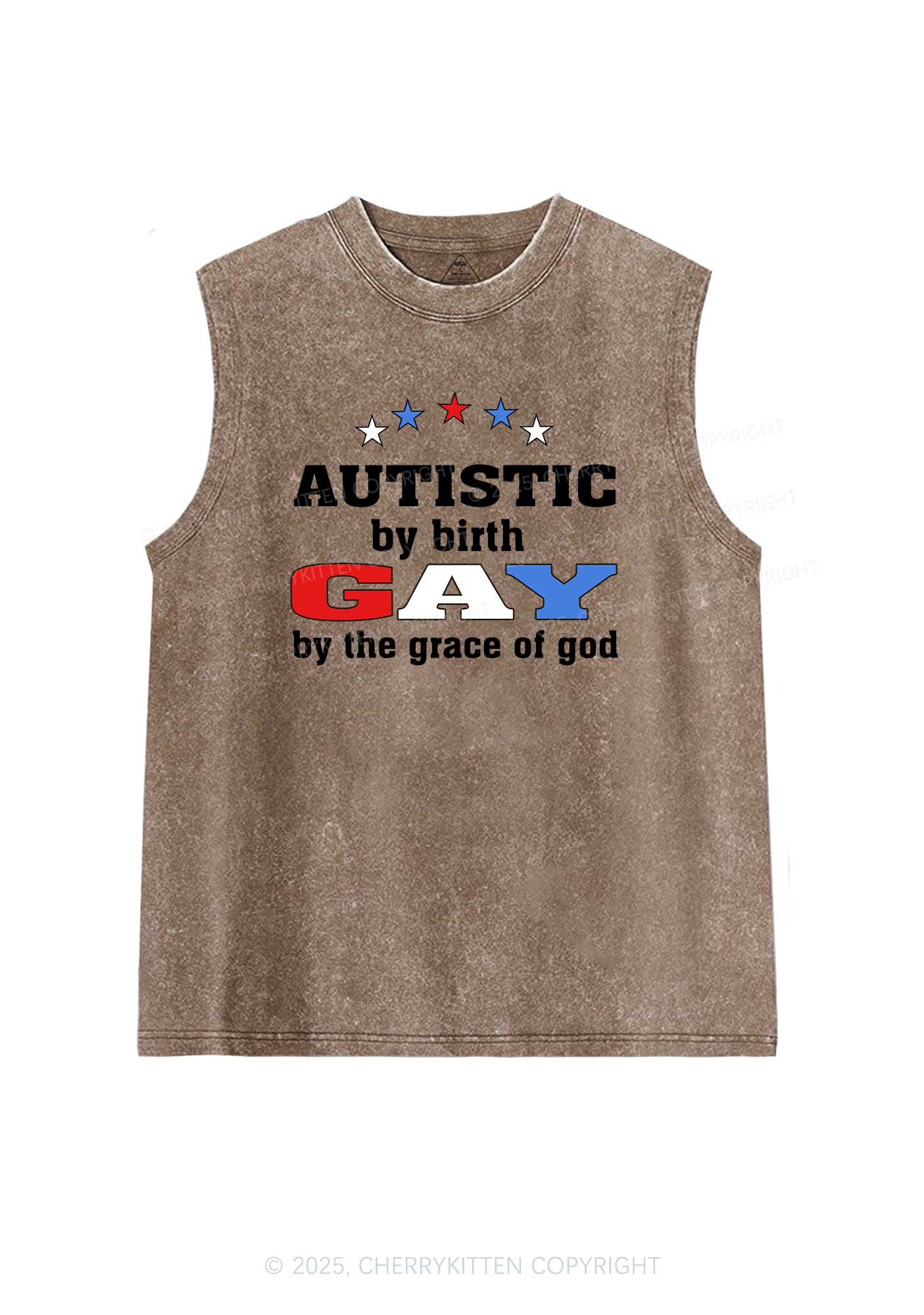 Autistic By Birth Gay Pride Y2K Washed Muscle Tank Cherrykitten - Image 6