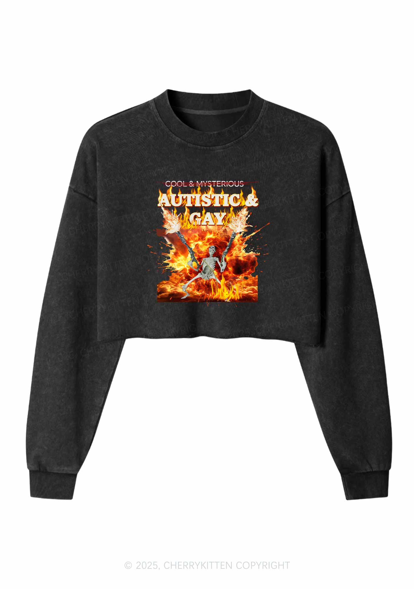 Autistic Gay Skeleton Pride Y2K Crop Washed Sweatshirts Cherrykitten - Image 3