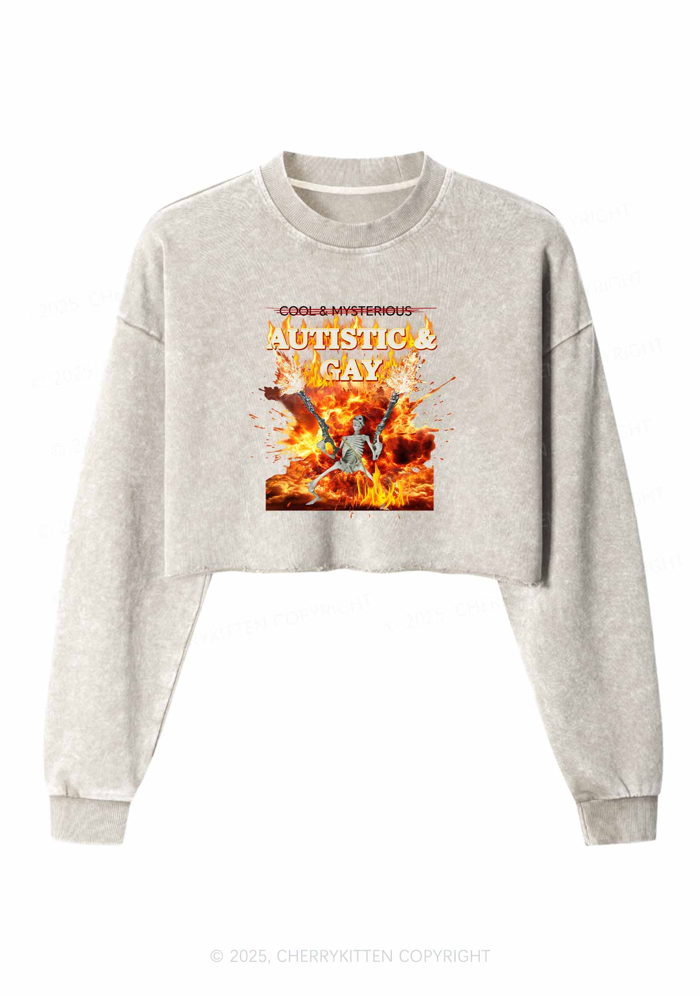 Autistic Gay Skeleton Pride Y2K Crop Washed Sweatshirts Cherrykitten - Image 4