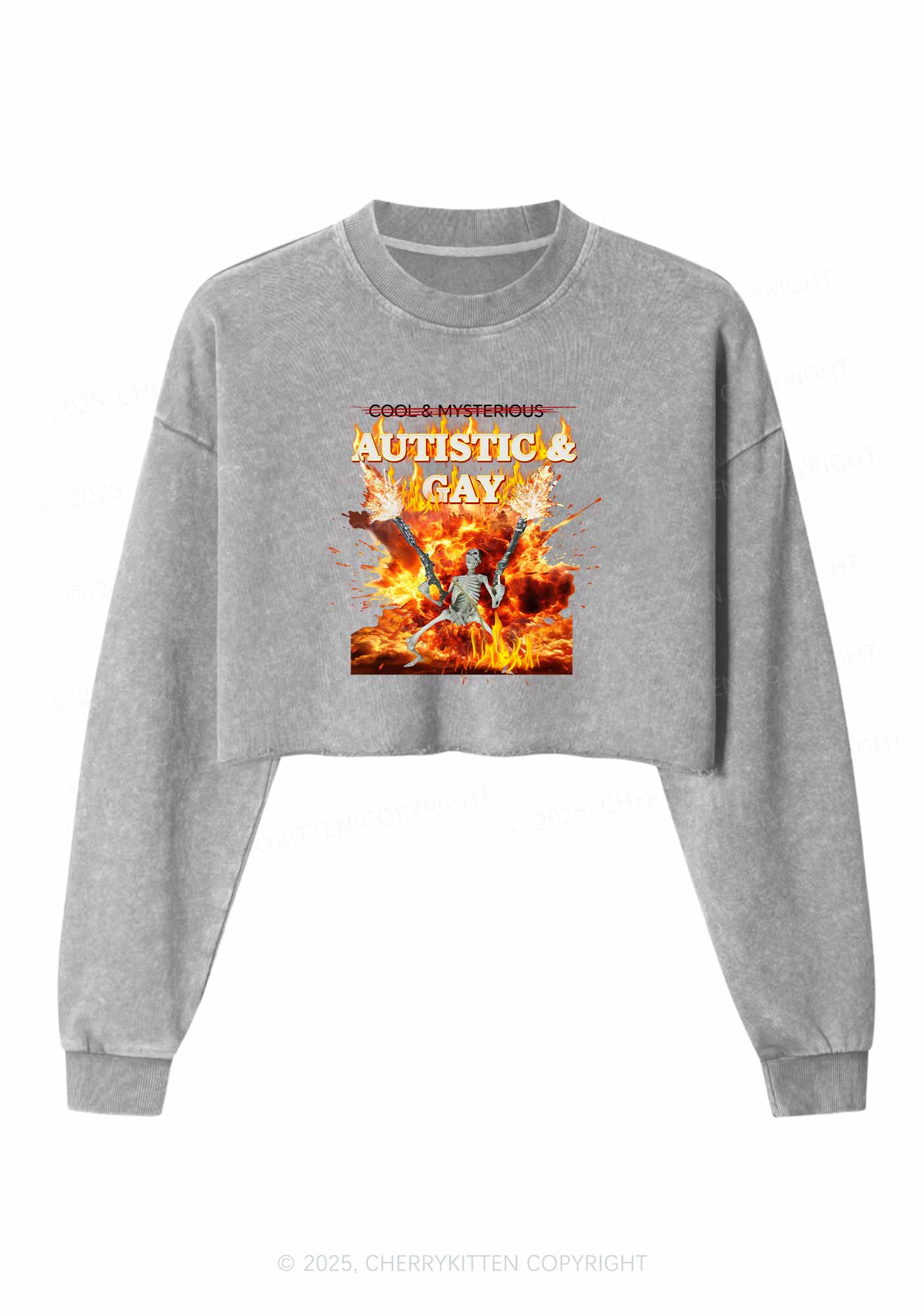 Autistic Gay Skeleton Pride Y2K Crop Washed Sweatshirts Cherrykitten - Image 5