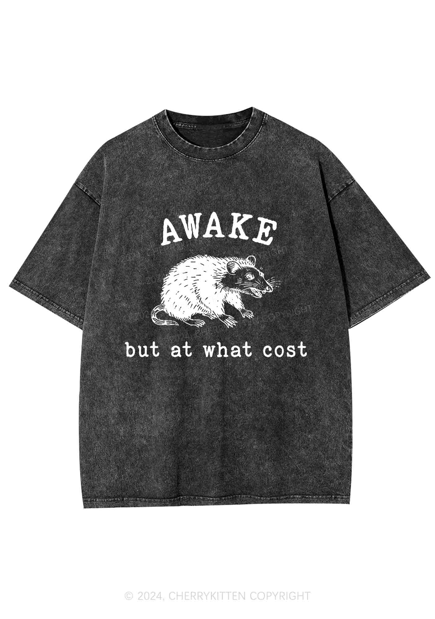 Awake But At What Cost Y2K Washed Tee Cherrykitten - Image 3