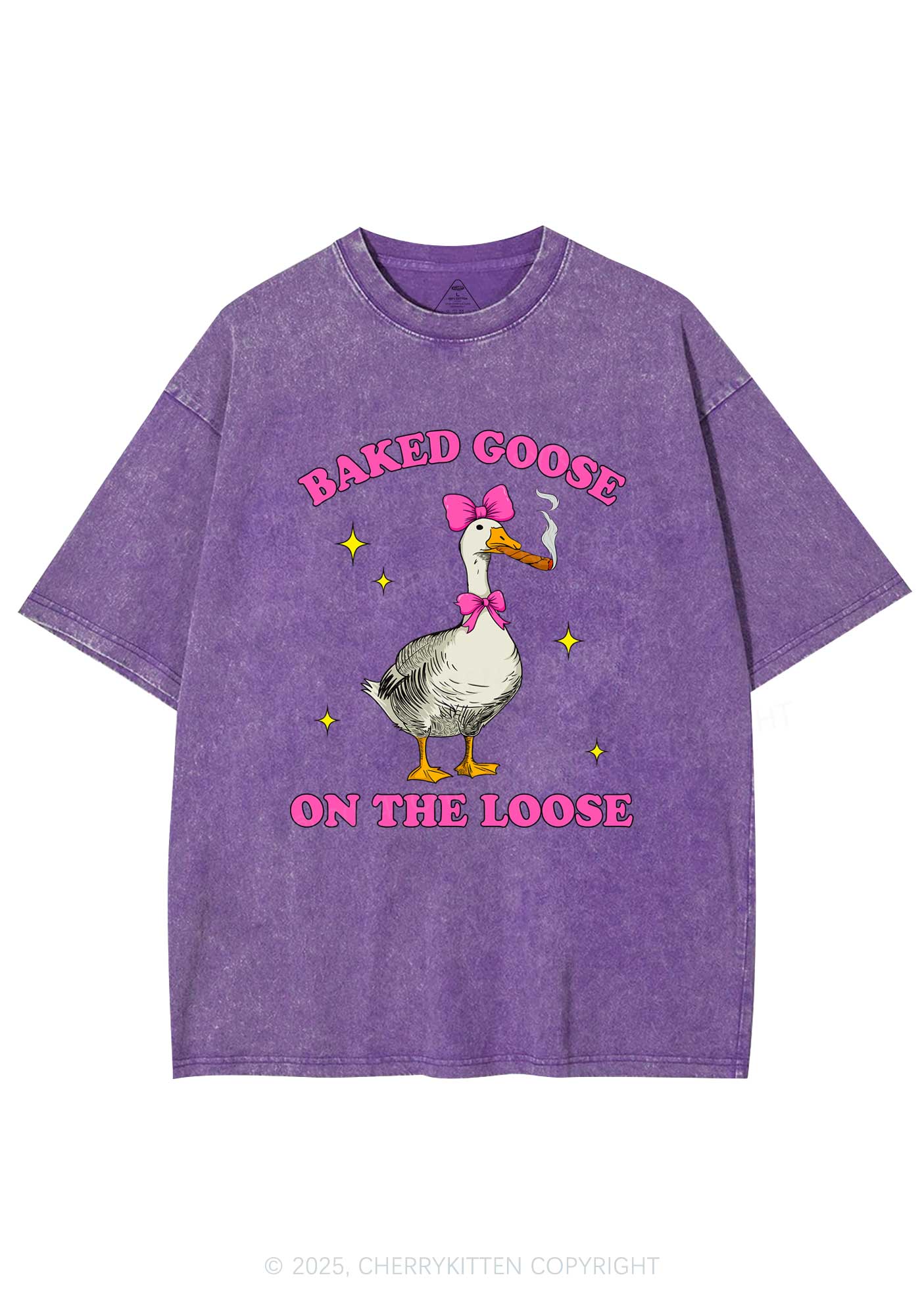 Baked Goose On The Loose Y2K Shirts Washed Tee Cherrykitten - Image 5