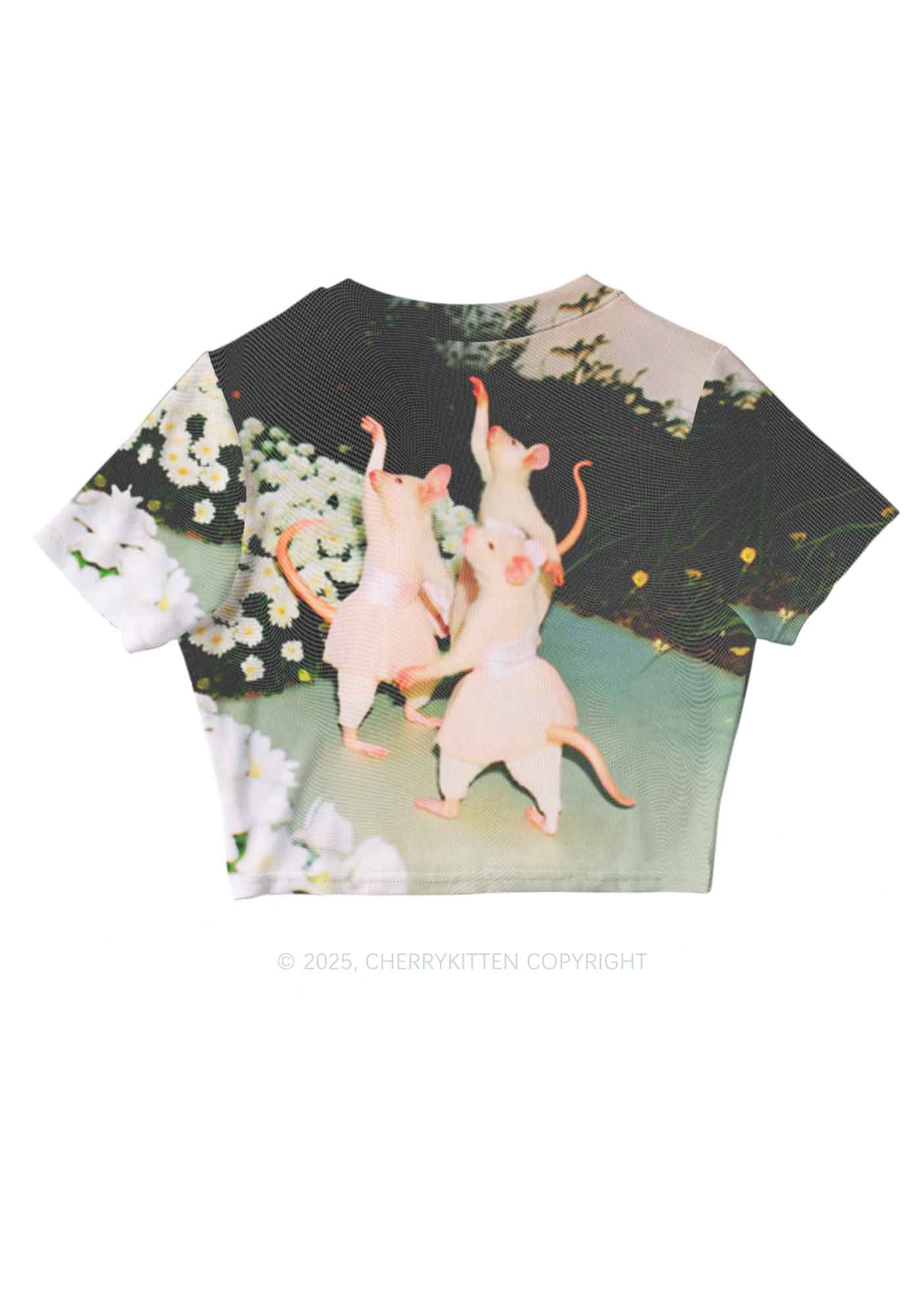 Ballet Rats Y2K Mesh Crop Top Cherrykitten - Image 3