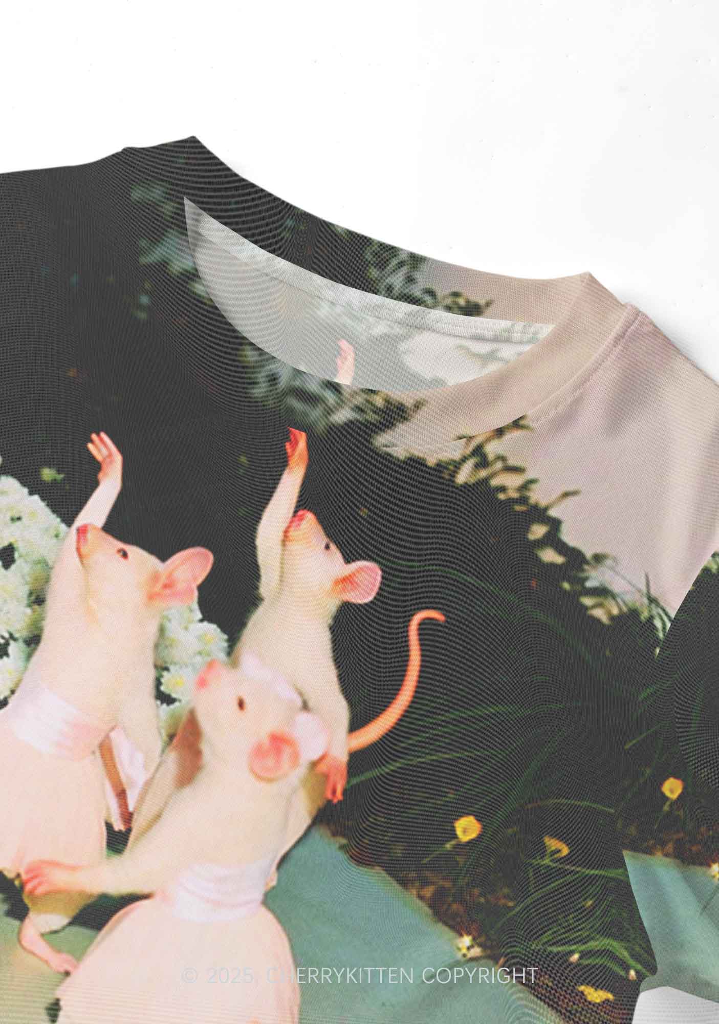 Ballet Rats Y2K Mesh Crop Top Cherrykitten - Image 4