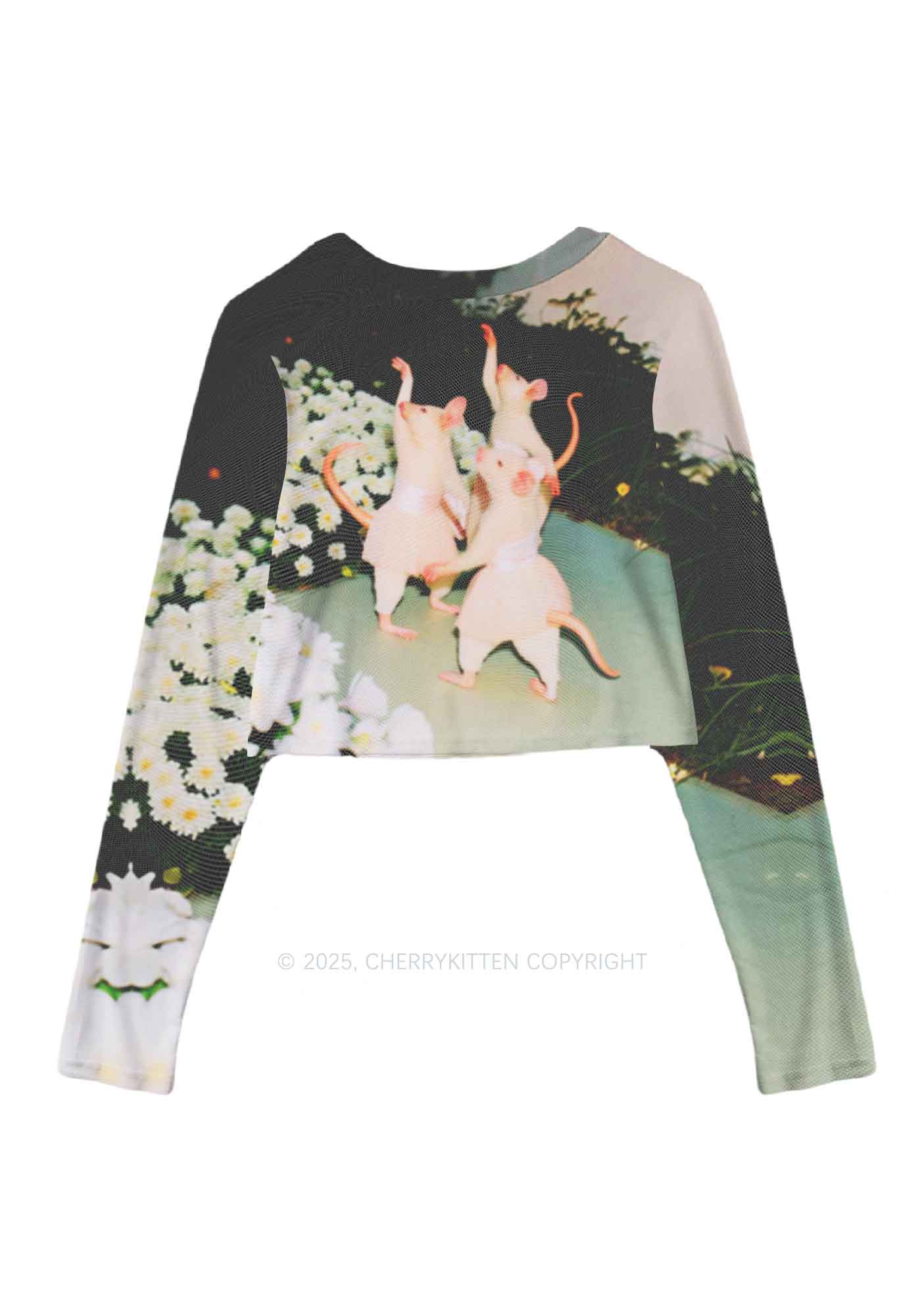 Ballet Rats Y2K Mesh Long Sleeve Crop Top Cherrykitten - Image 3