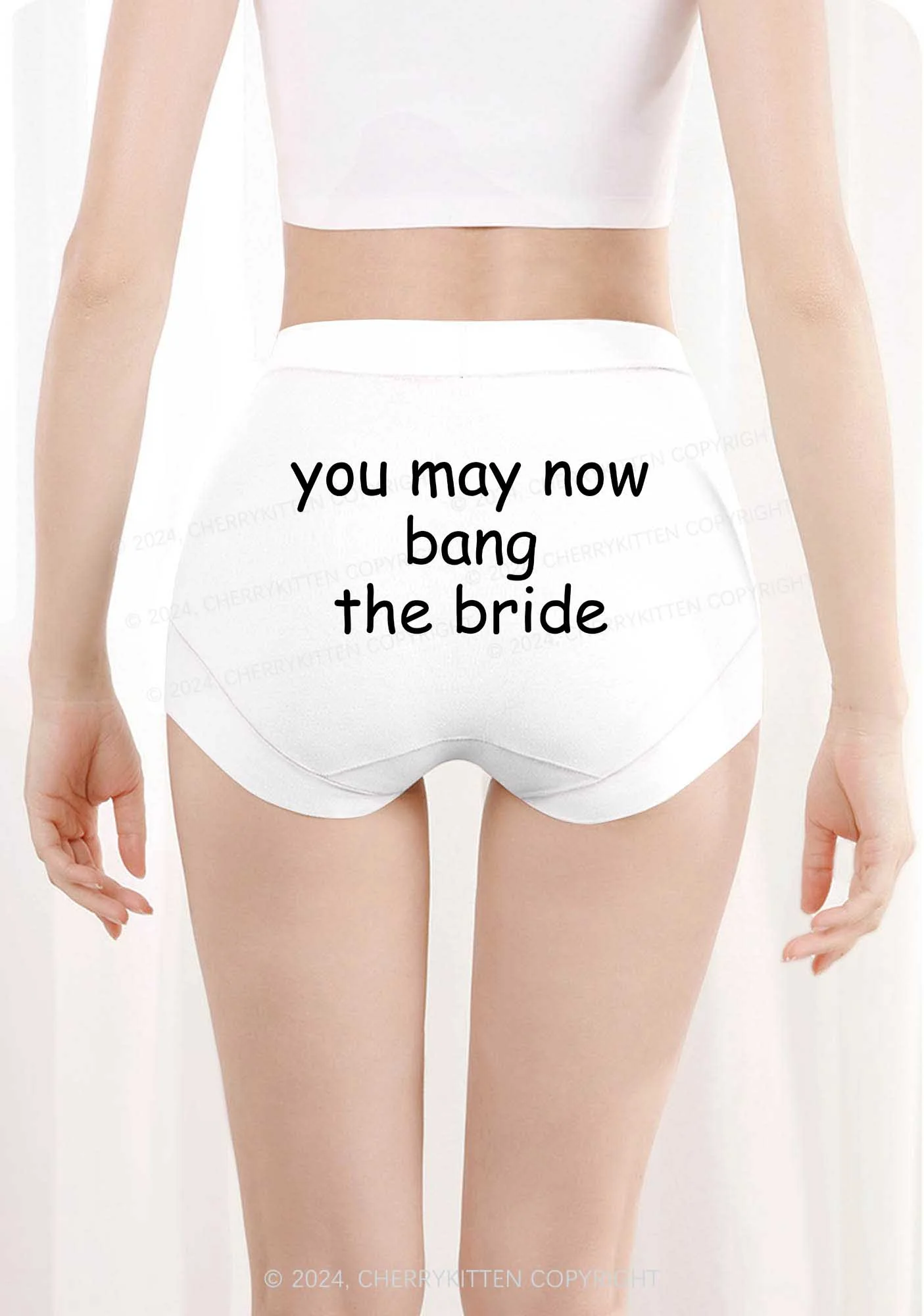 Bang The Bride Y2K Mid Rise Waist Boyshort Cherrykitten - Image 4