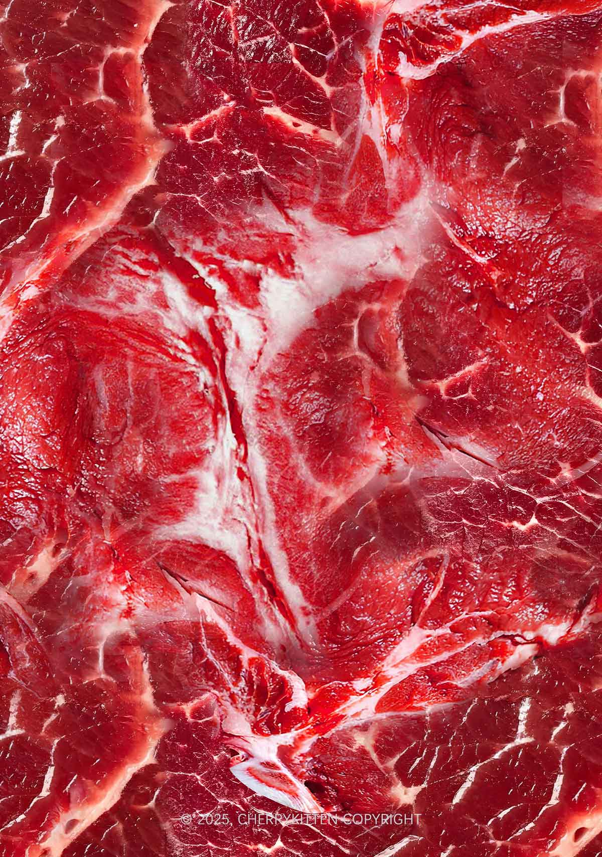 Beef Steak Texture Y2K Mesh Crop Top Cherrykitten - Image 2