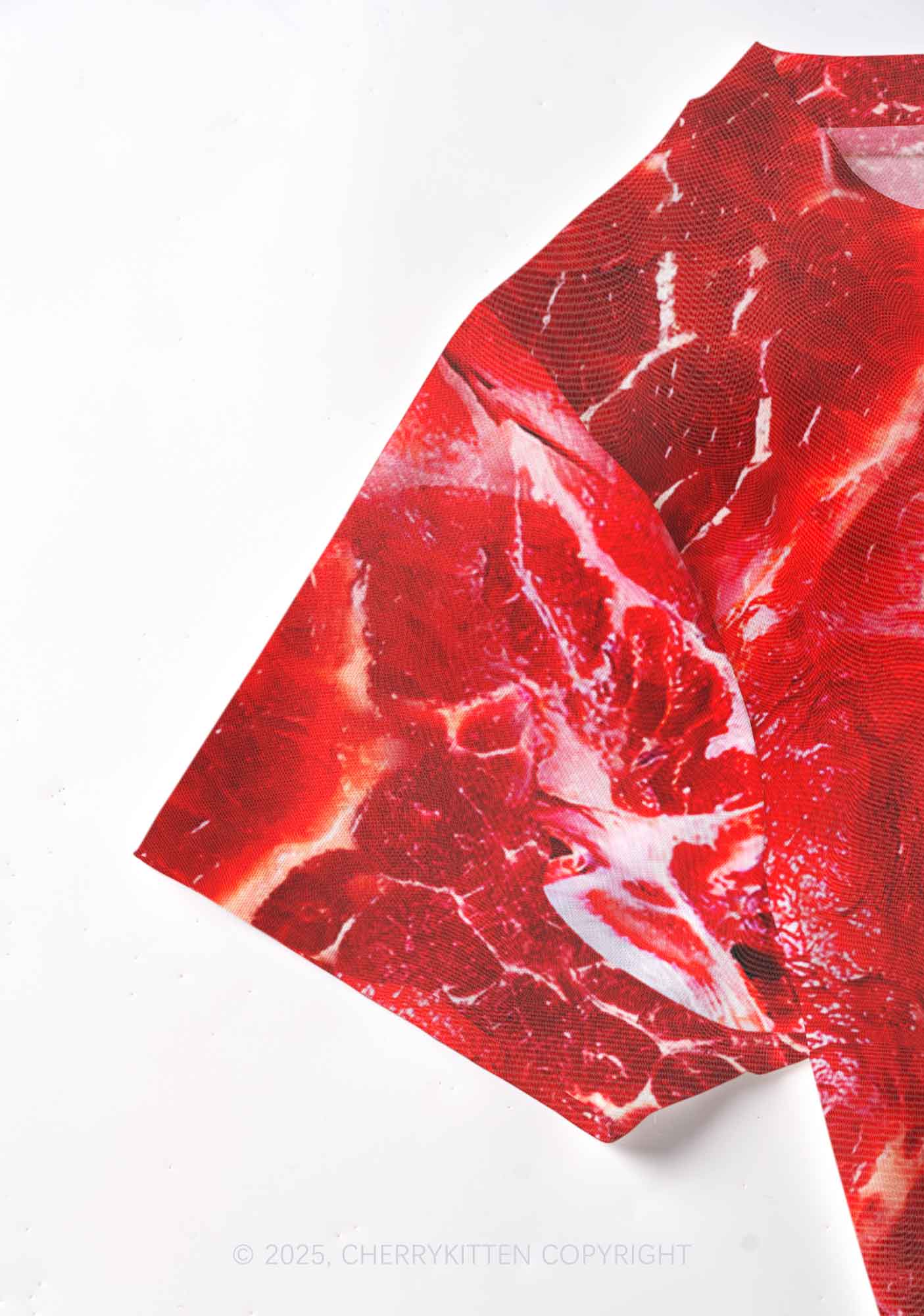 Beef Steak Texture Y2K Mesh Crop Top Cherrykitten - Image 4
