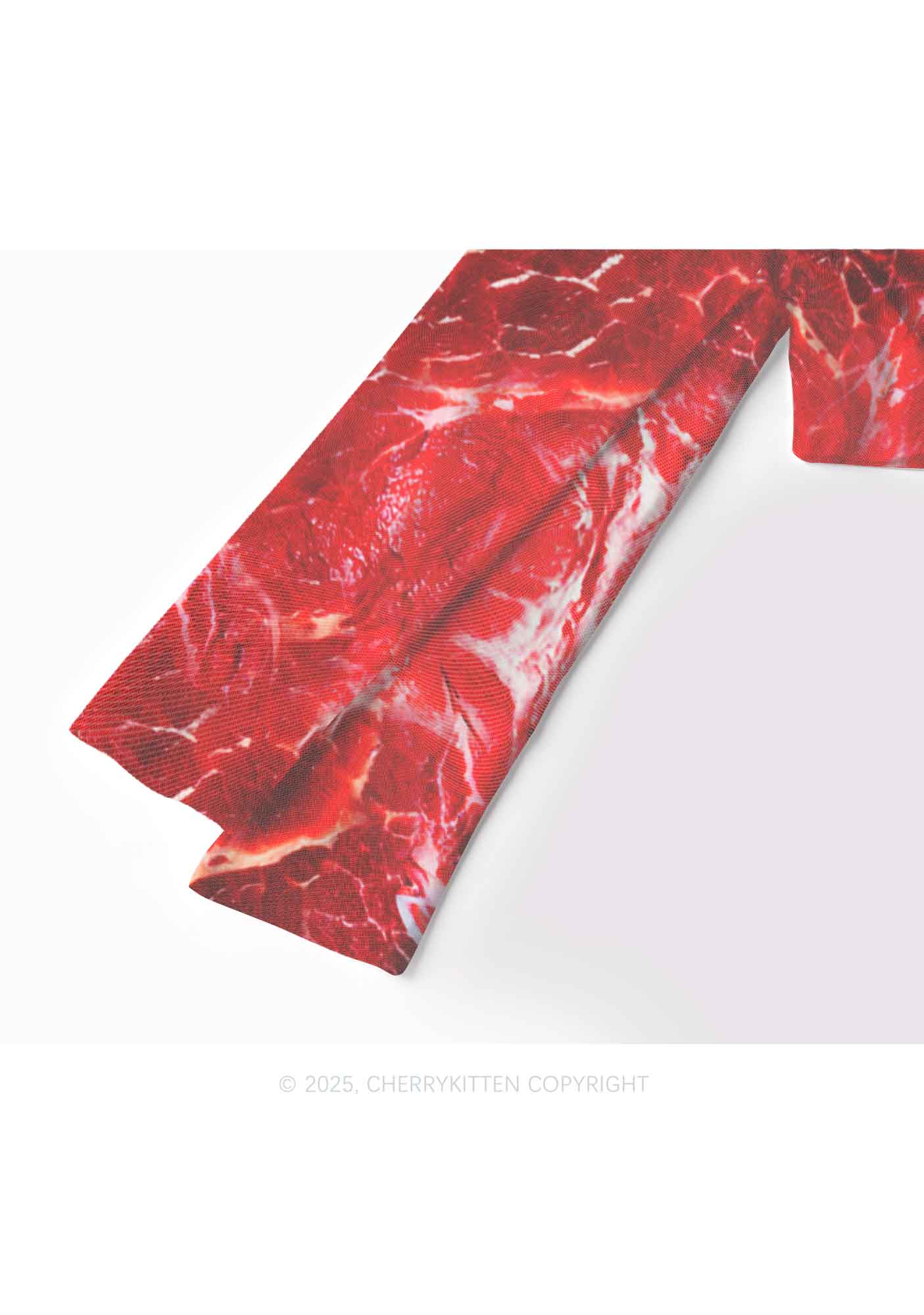 Beef Steak Texture Y2K Mesh Long Sleeve Crop Top Cherrykitten - Image 4