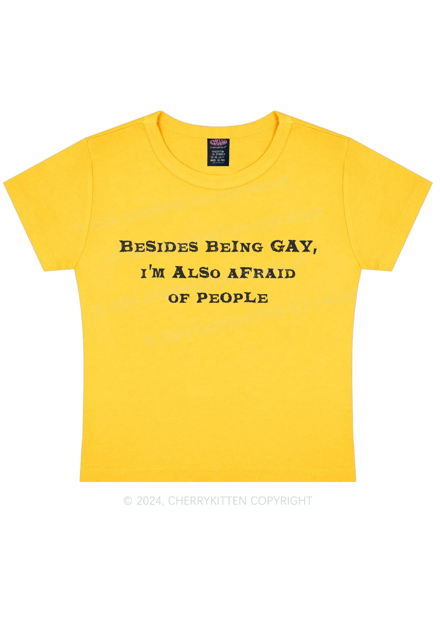 Besides Being Gay Y2K Baby Tee Cherrykitten - Image 8