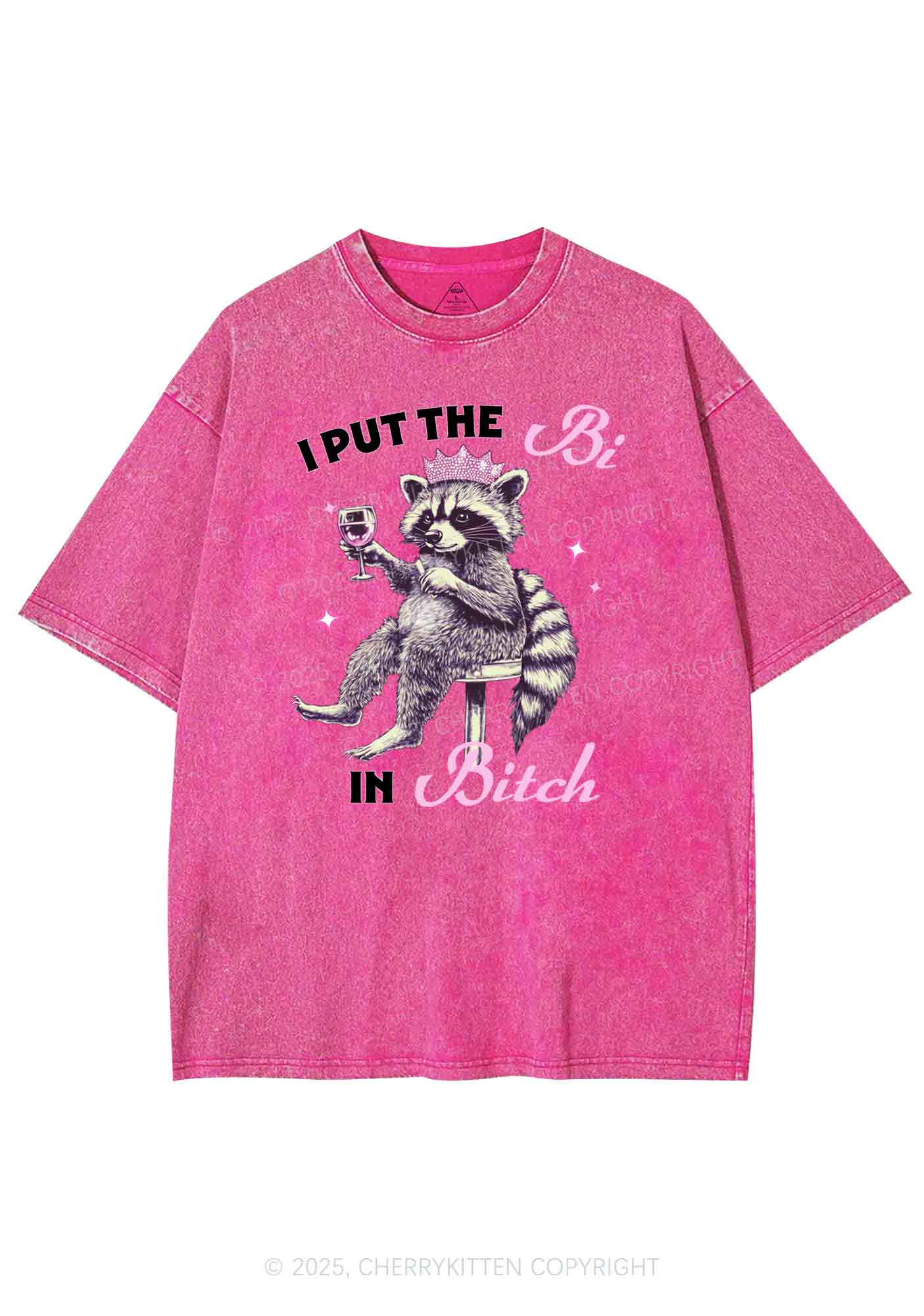 Bi Bxxch Raccoon Pride Y2K Shirts Washed Tee Cherrykitten - Image 3