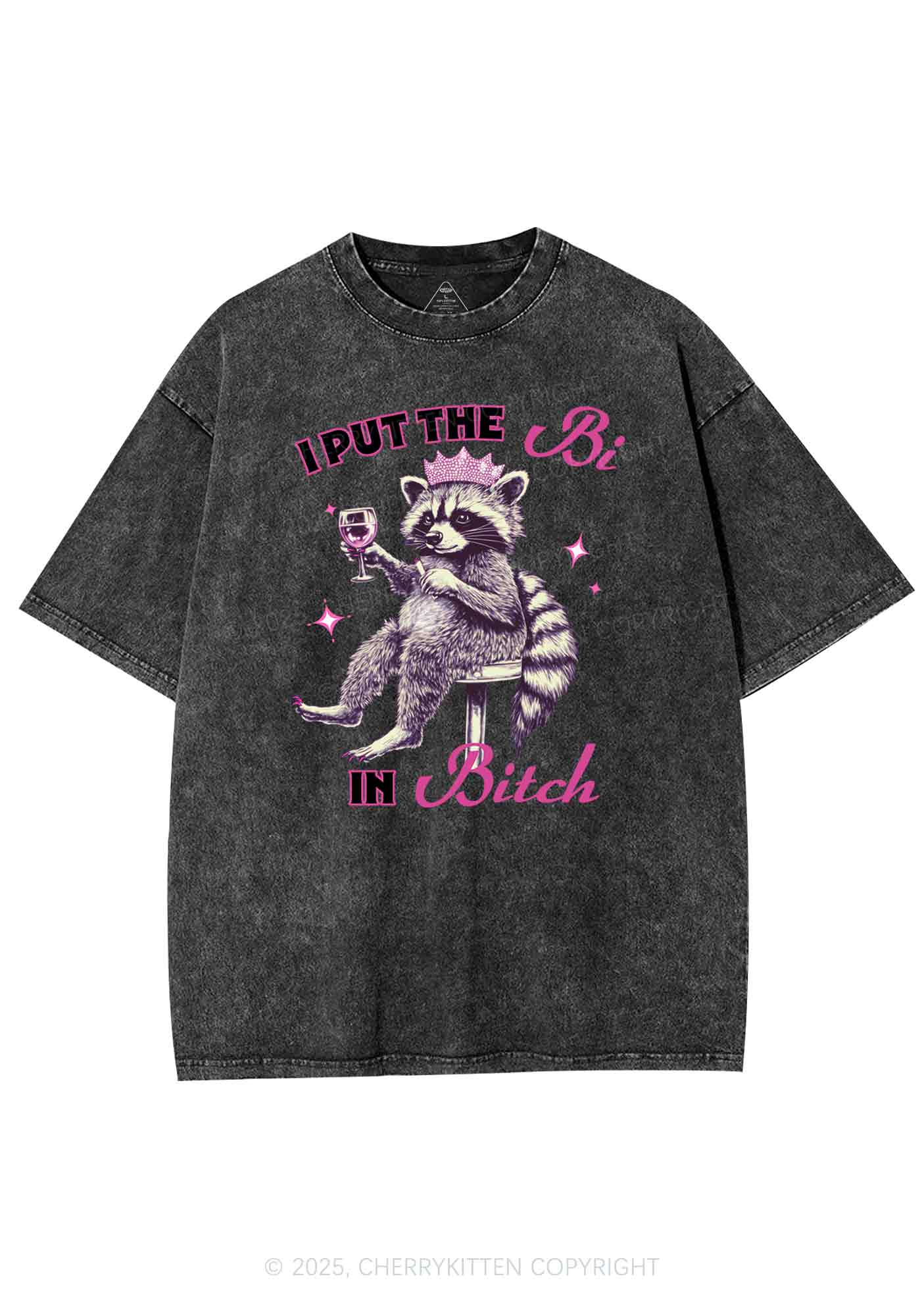 Bi Bxxch Raccoon Pride Y2K Shirts Washed Tee Cherrykitten - Image 4