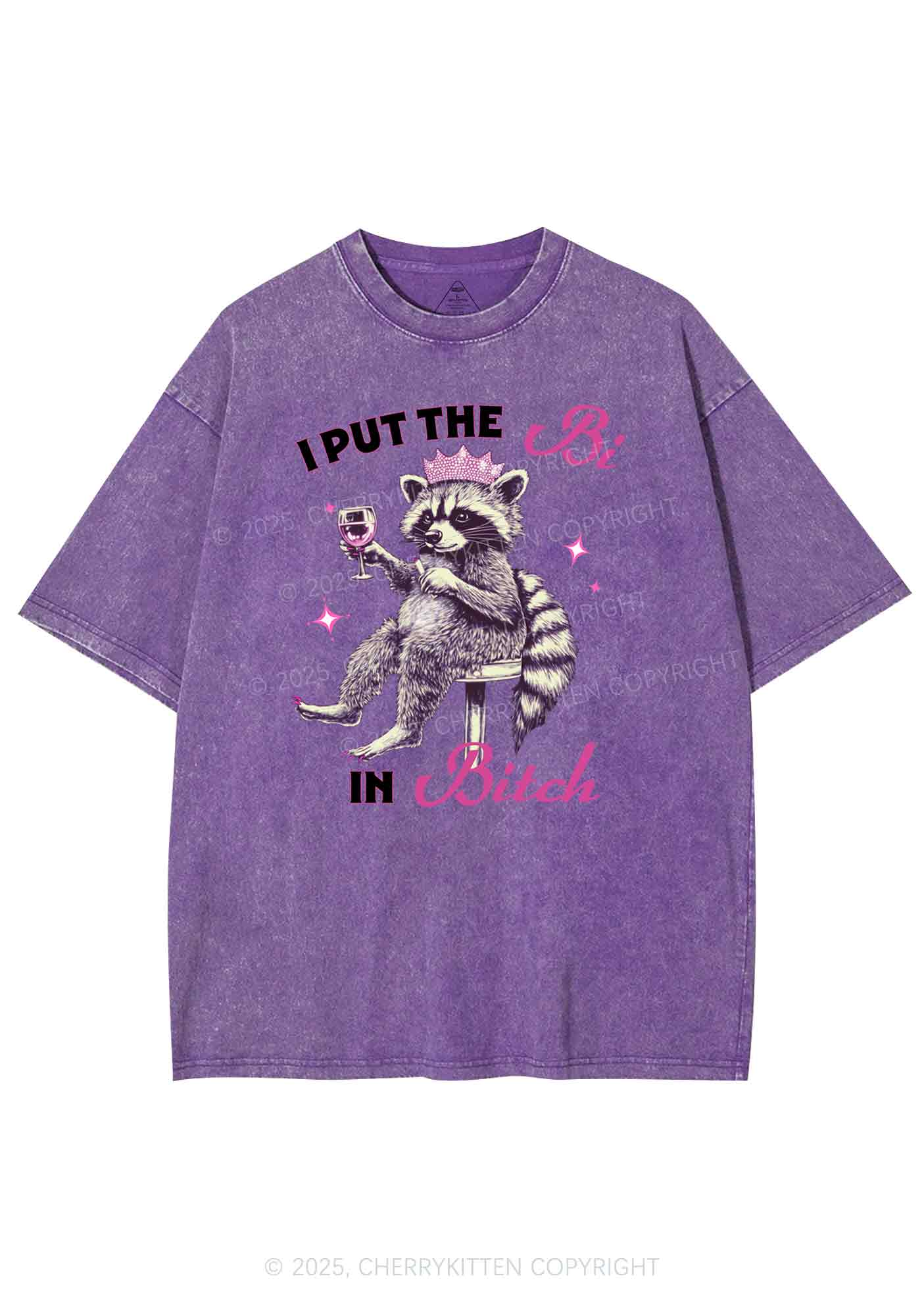 Bi Bxxch Raccoon Pride Y2K Shirts Washed Tee Cherrykitten - Image 5