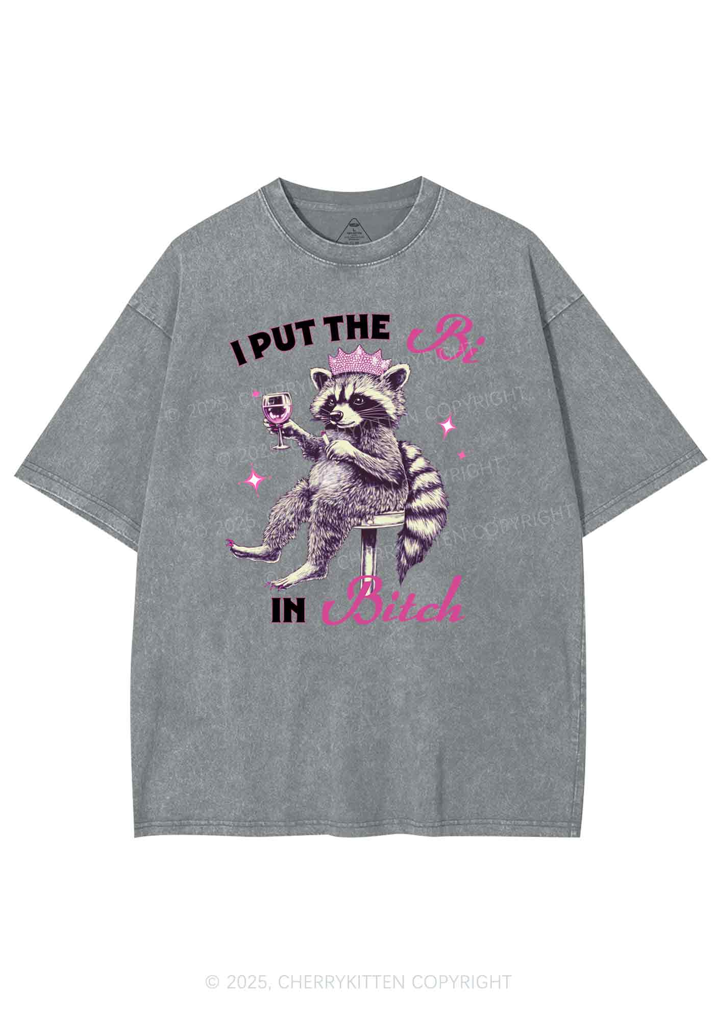 Bi Bxxch Raccoon Pride Y2K Shirts Washed Tee Cherrykitten - Image 6
