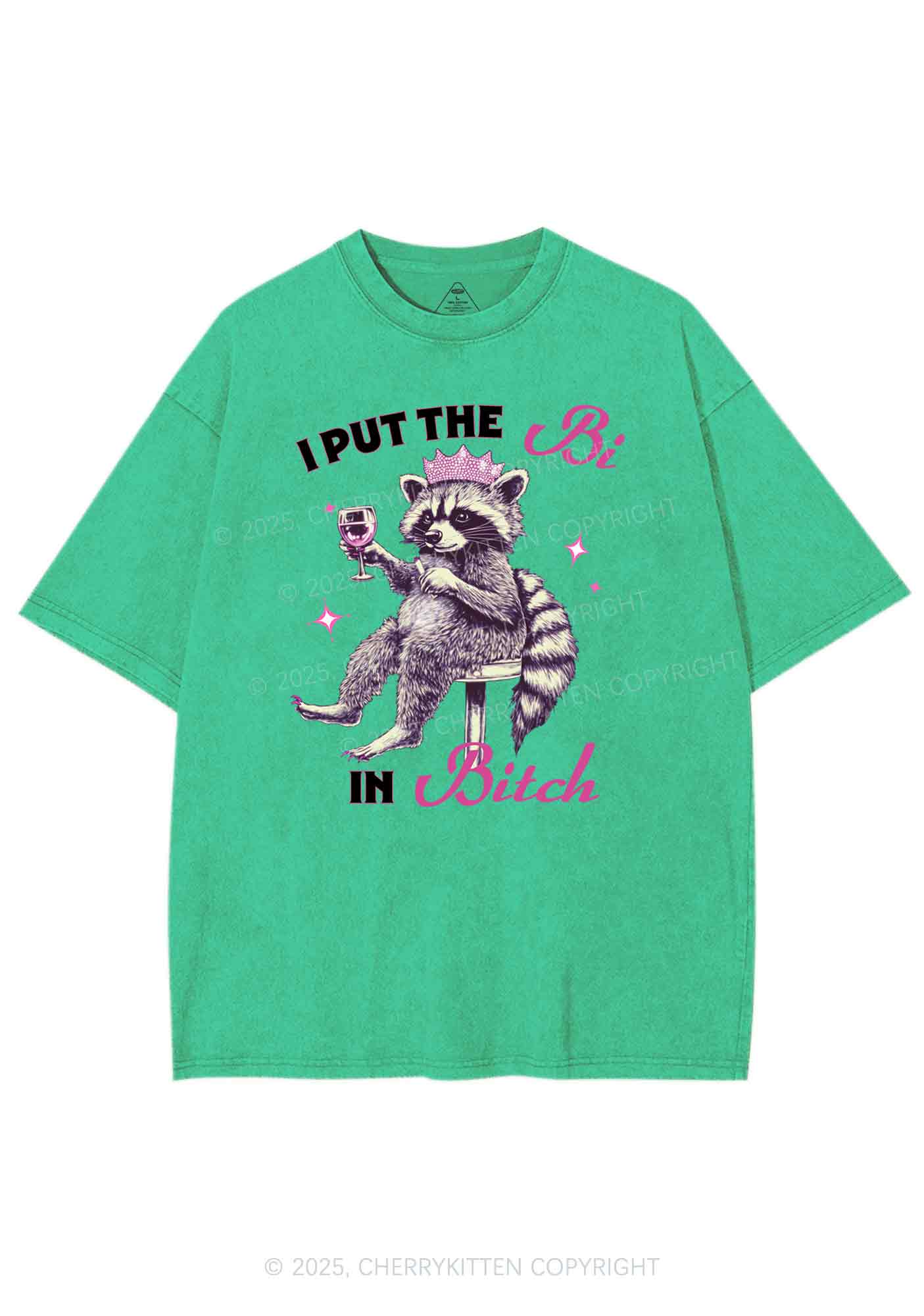Bi Bxxch Raccoon Pride Y2K Shirts Washed Tee Cherrykitten - Image 8