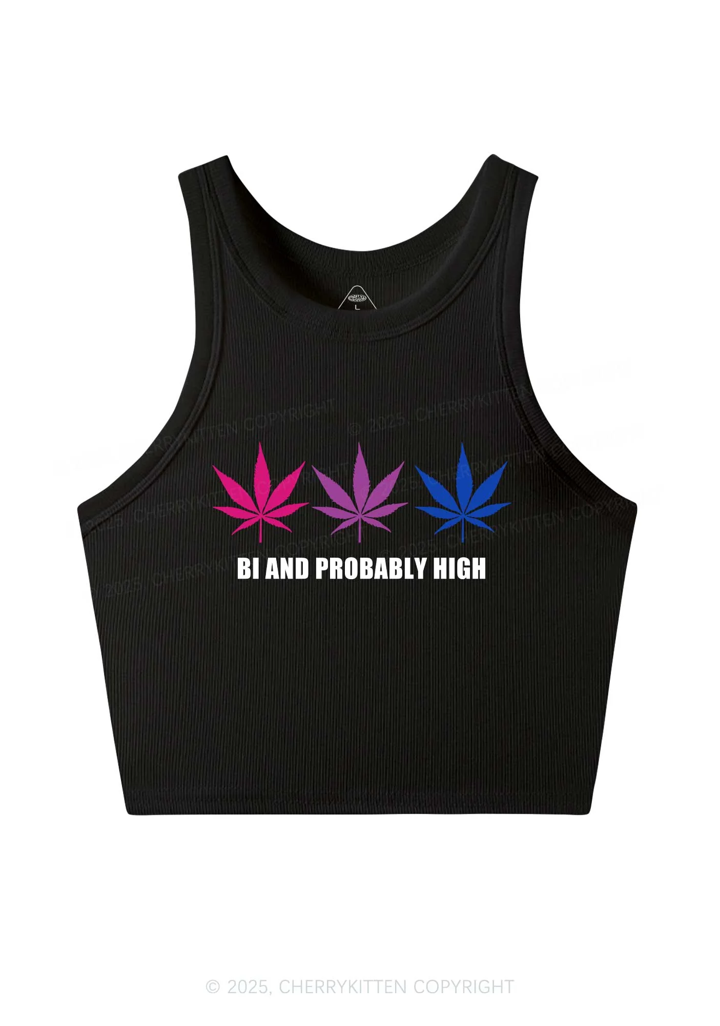 Bi Probably High Pride Y2K Crop Tank Top Cherrykitten - Image 3