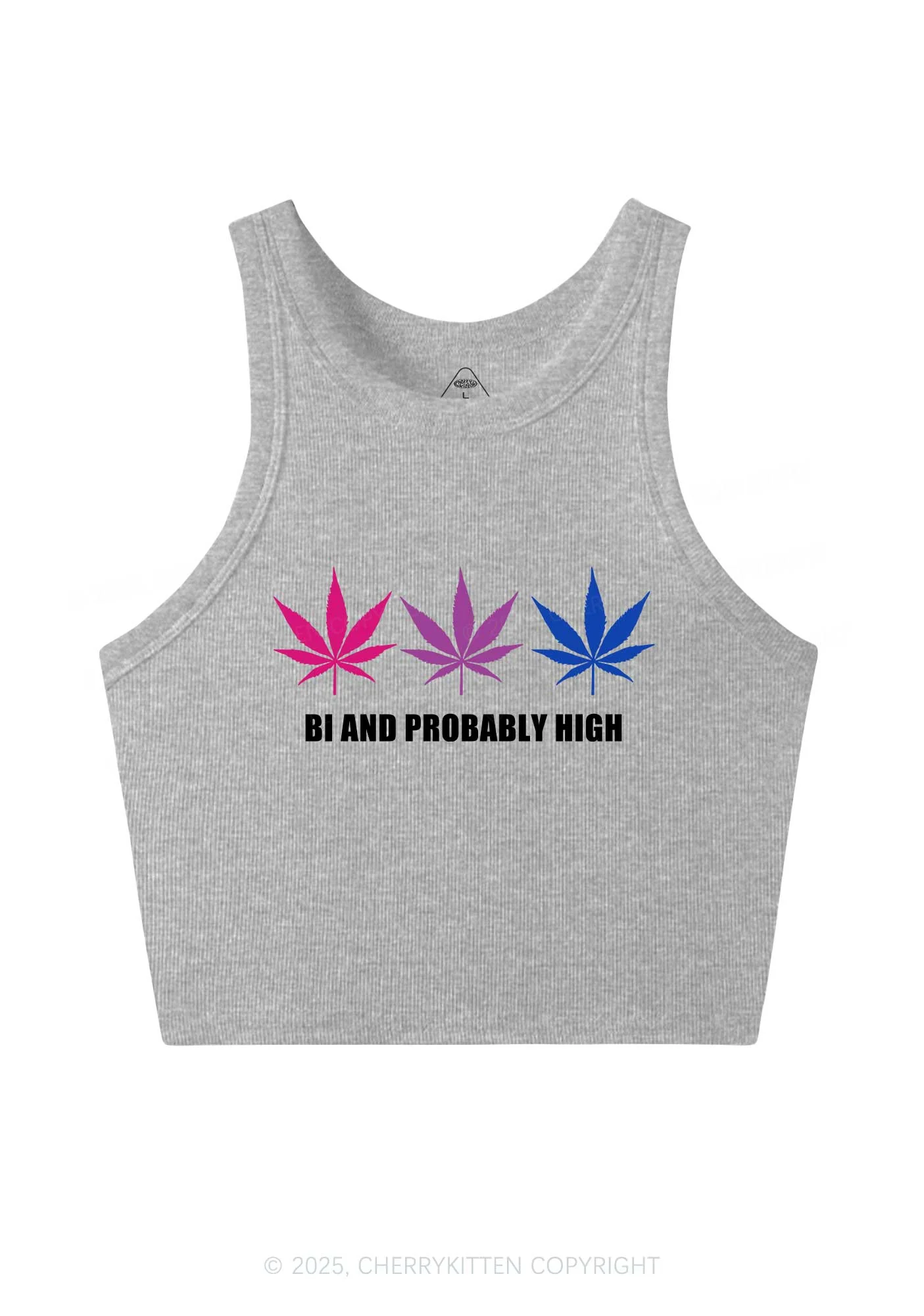 Bi Probably High Pride Y2K Crop Tank Top Cherrykitten - Image 4