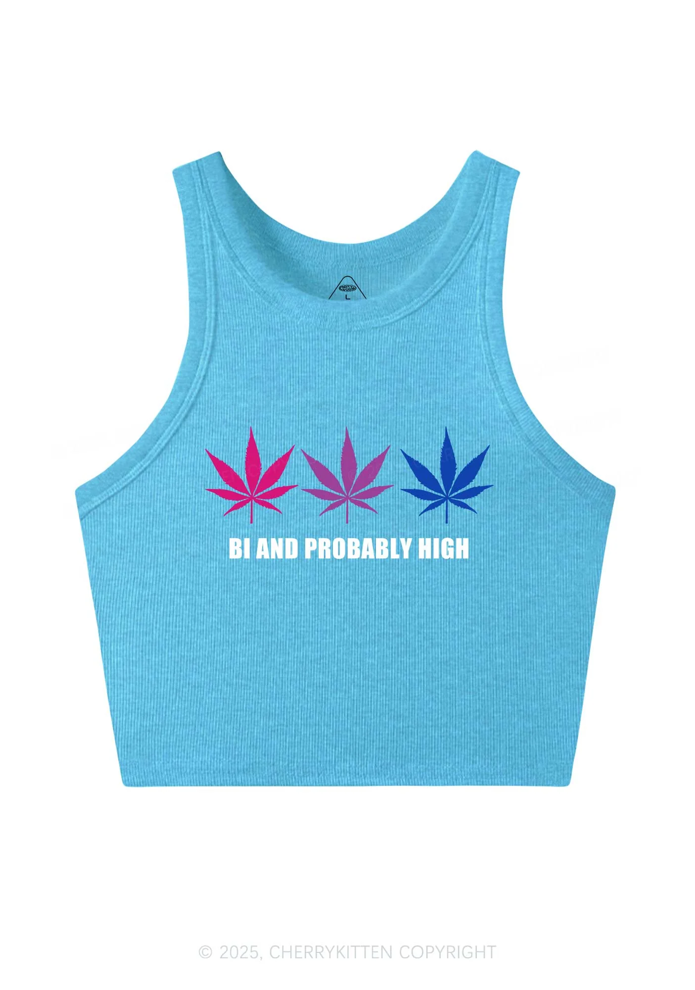 Bi Probably High Pride Y2K Crop Tank Top Cherrykitten - Image 5