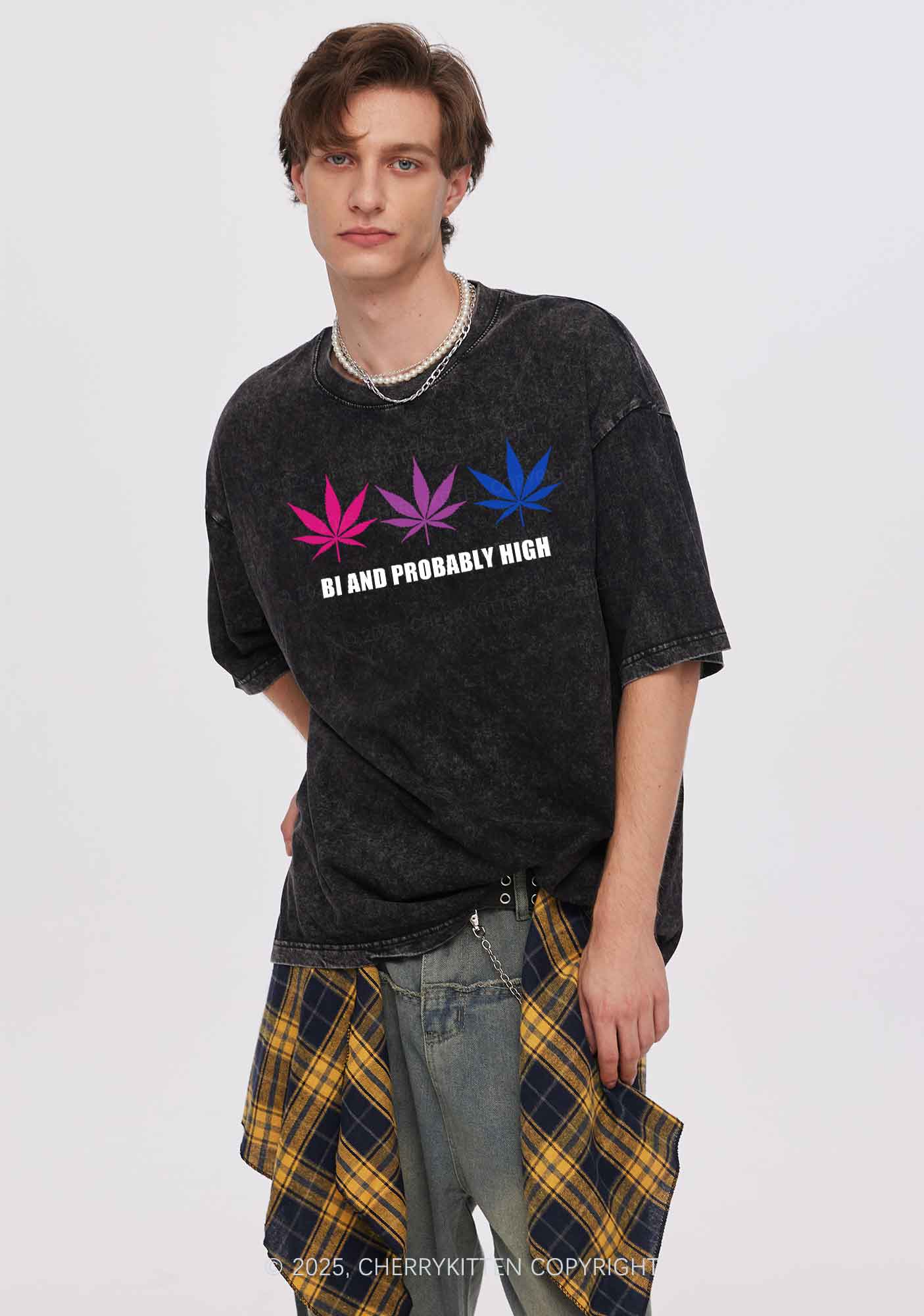 Bi Probably High Pride Y2K Shirts Washed Tee Cherrykitten - Image 2
