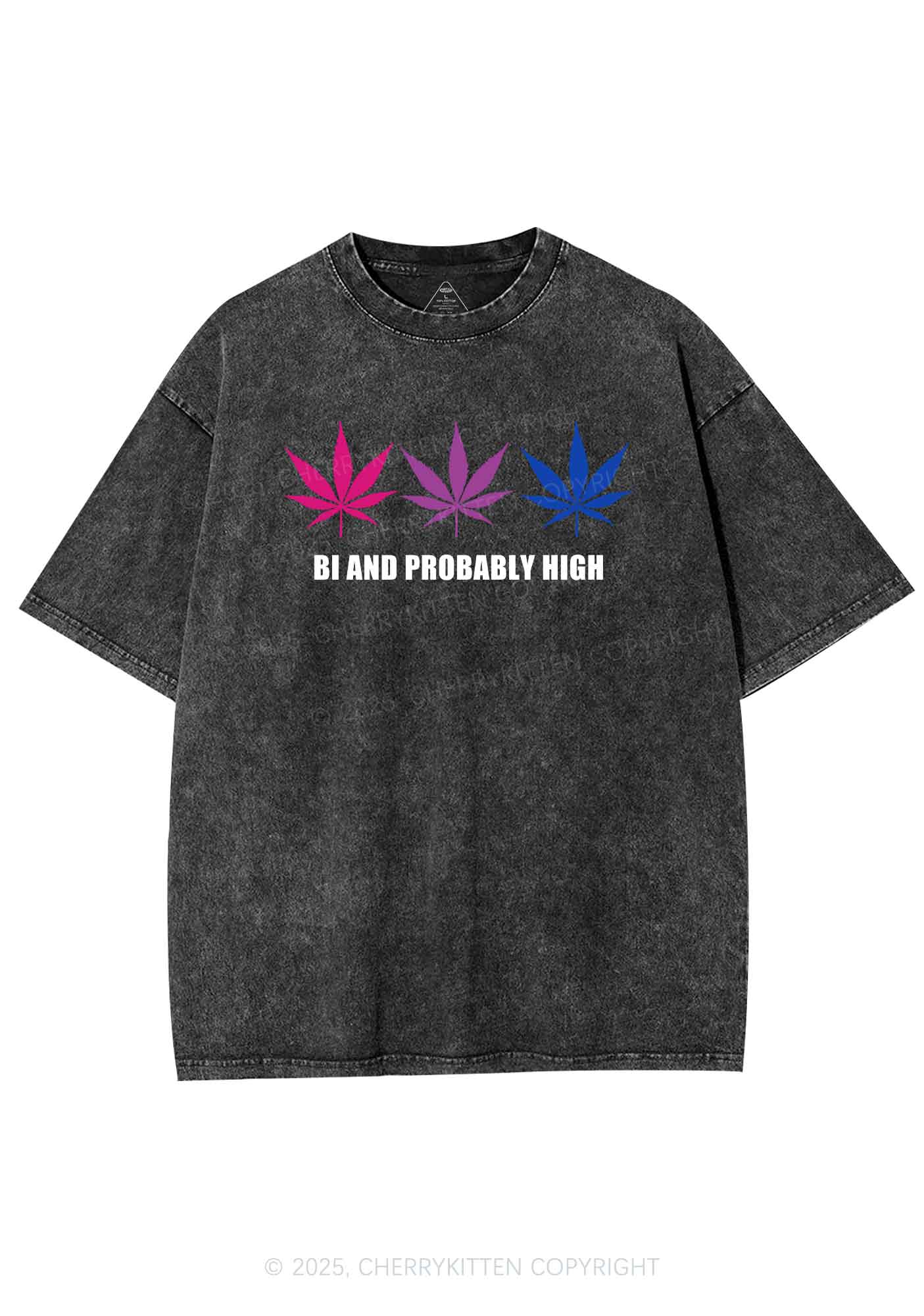 Bi Probably High Pride Y2K Shirts Washed Tee Cherrykitten - Image 3