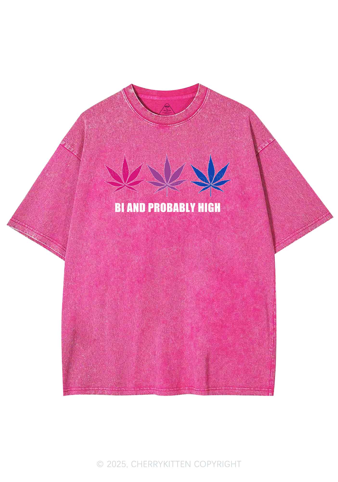 Bi Probably High Pride Y2K Shirts Washed Tee Cherrykitten - Image 4