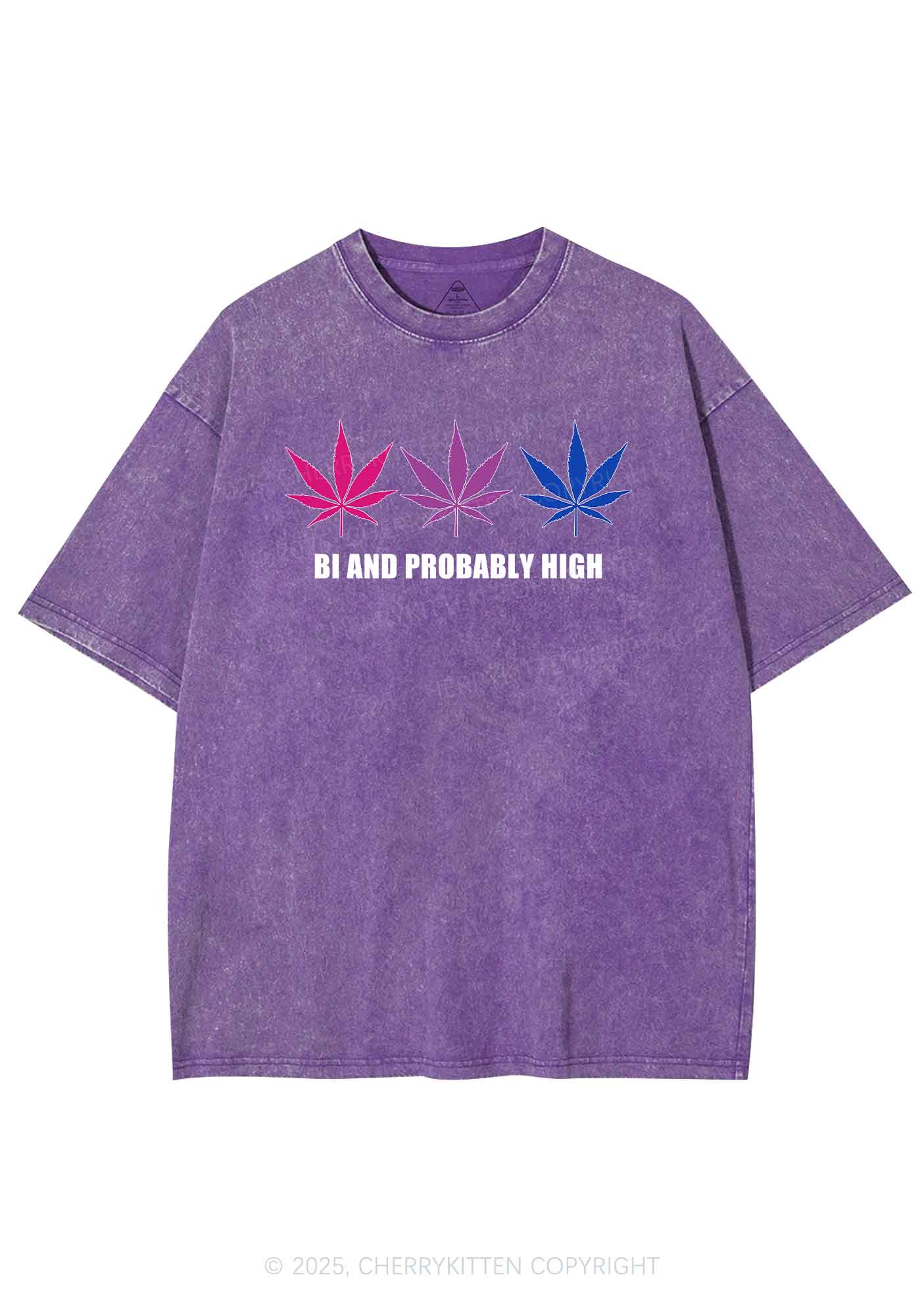 Bi Probably High Pride Y2K Shirts Washed Tee Cherrykitten - Image 5