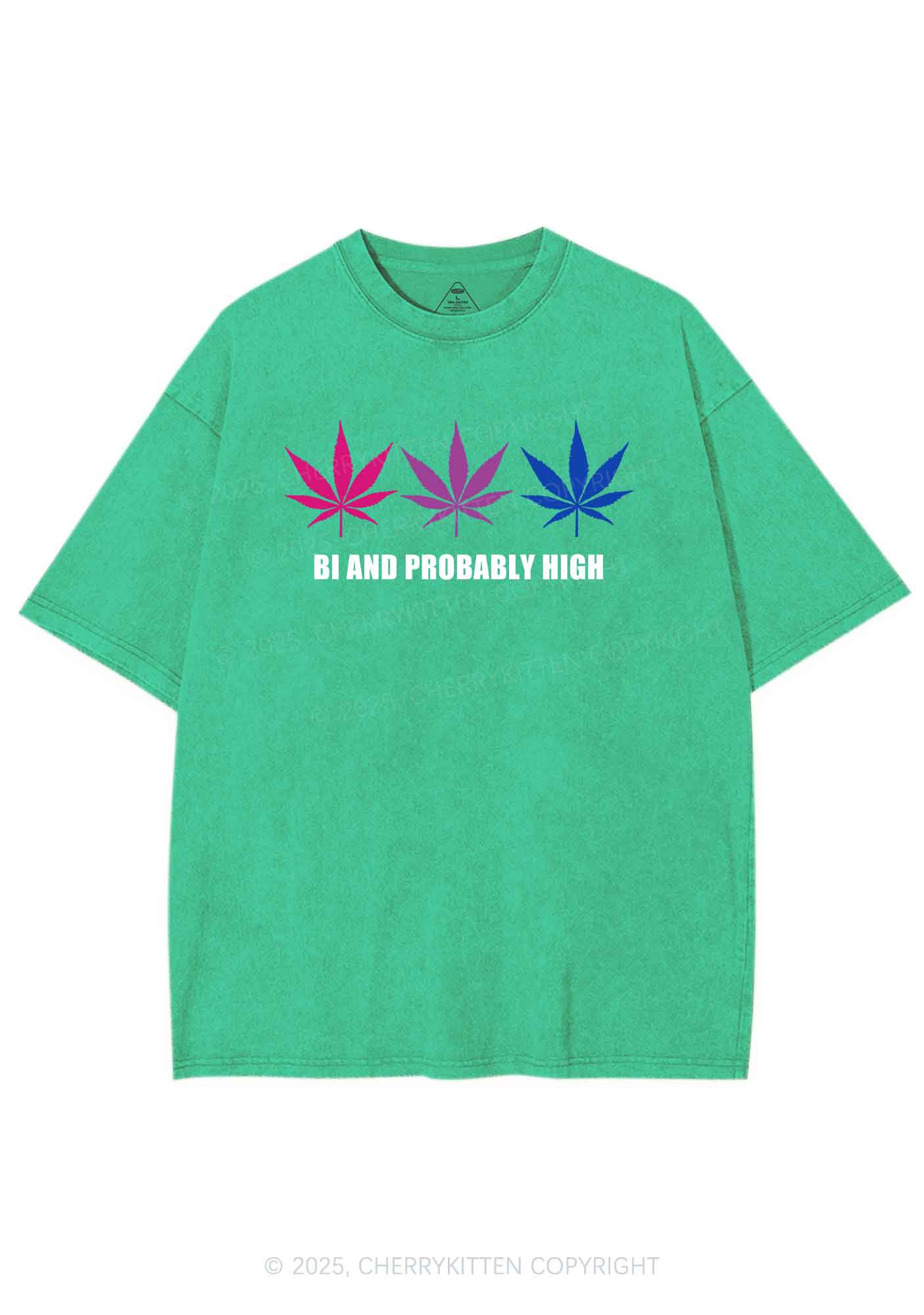 Bi Probably High Pride Y2K Shirts Washed Tee Cherrykitten - Image 6