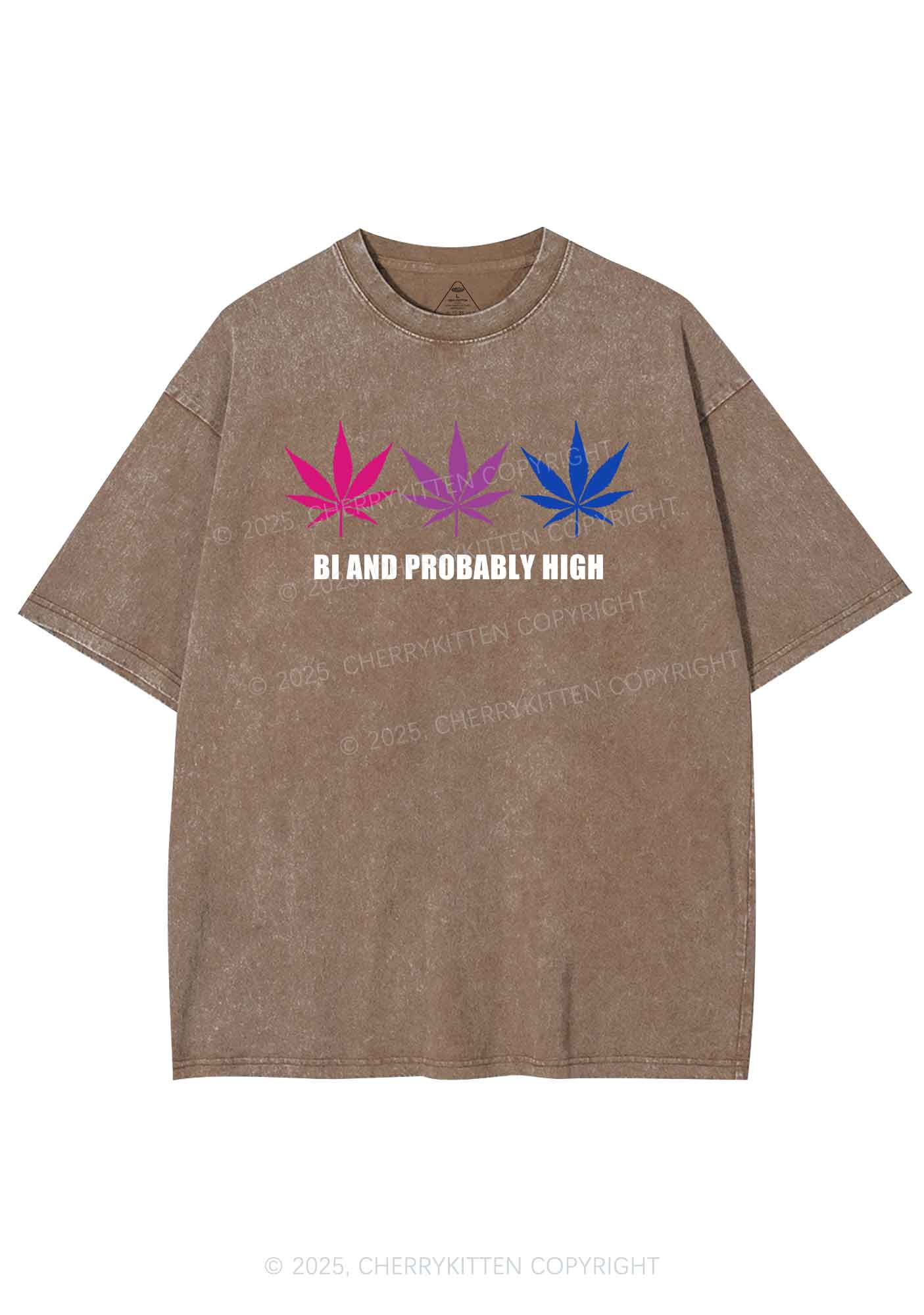 Bi Probably High Pride Y2K Shirts Washed Tee Cherrykitten - Image 7