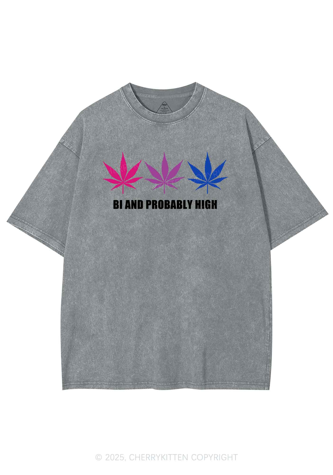 Bi Probably High Pride Y2K Shirts Washed Tee Cherrykitten - Image 8