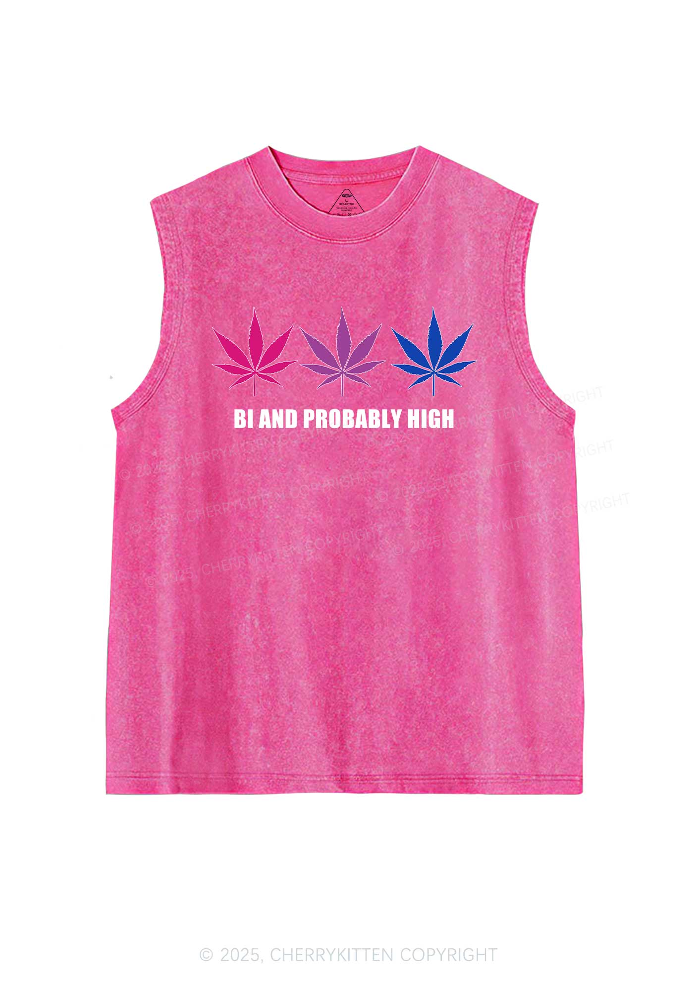 Bi Probably High Pride Y2K Washed Muscle Tank Cherrykitten - Image 4