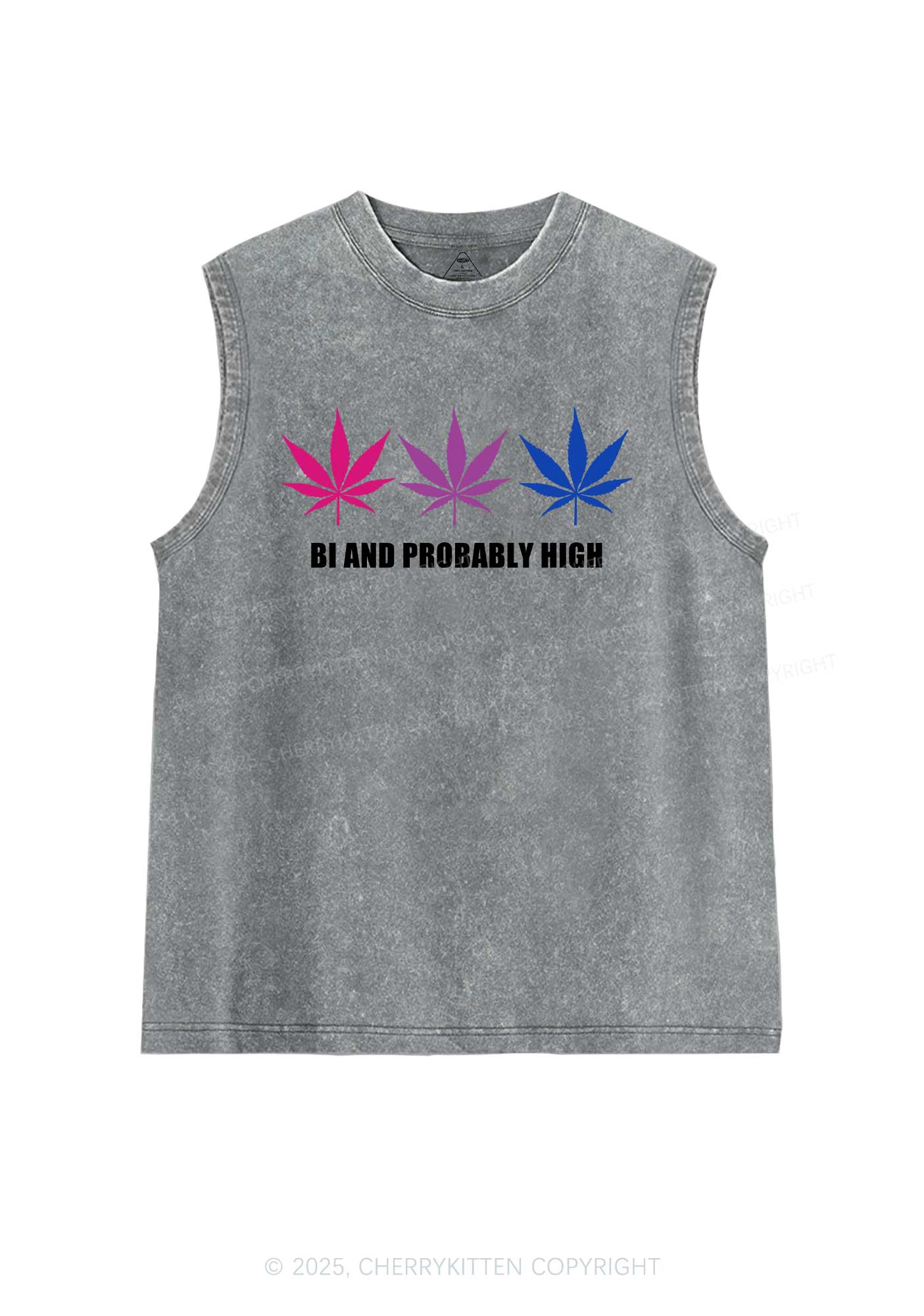 Bi Probably High Pride Y2K Washed Muscle Tank Cherrykitten - Image 6