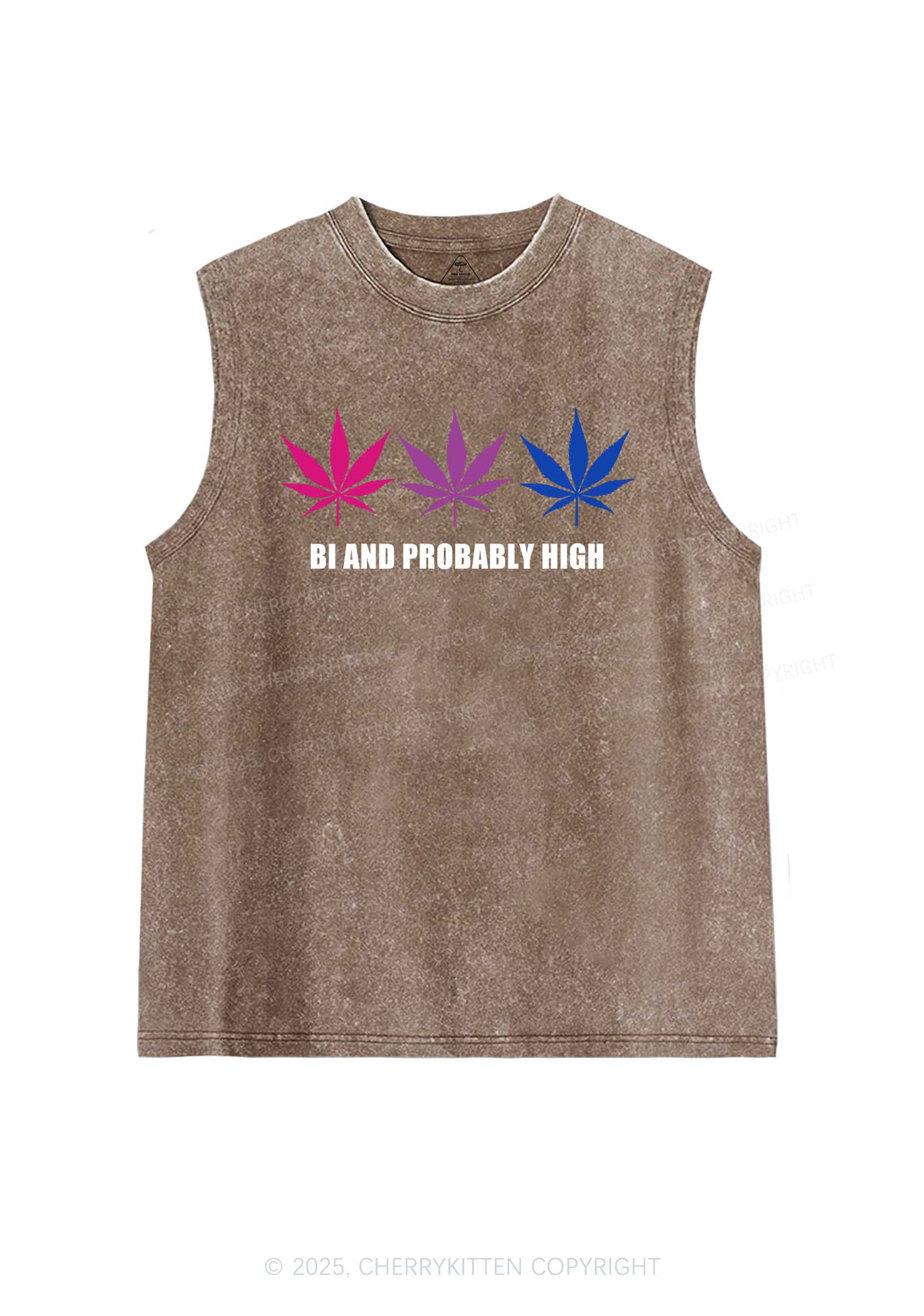 Bi Probably High Pride Y2K Washed Muscle Tank Cherrykitten - Image 7