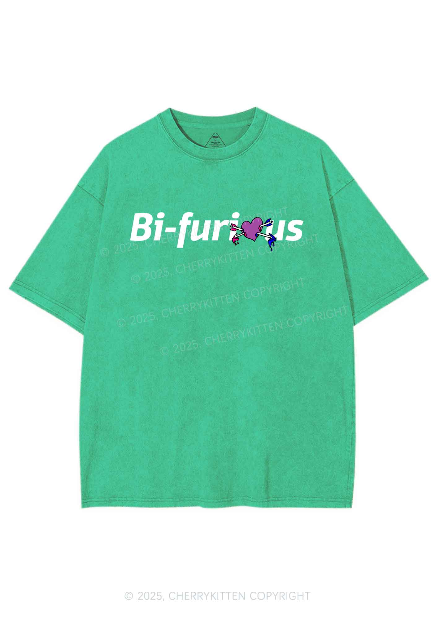 Bifurious Pride Y2K Shirts Washed Tee Cherrykitten - Image 6