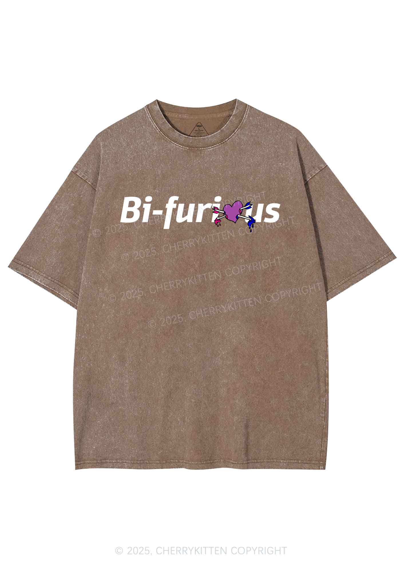 Bifurious Pride Y2K Shirts Washed Tee Cherrykitten - Image 7