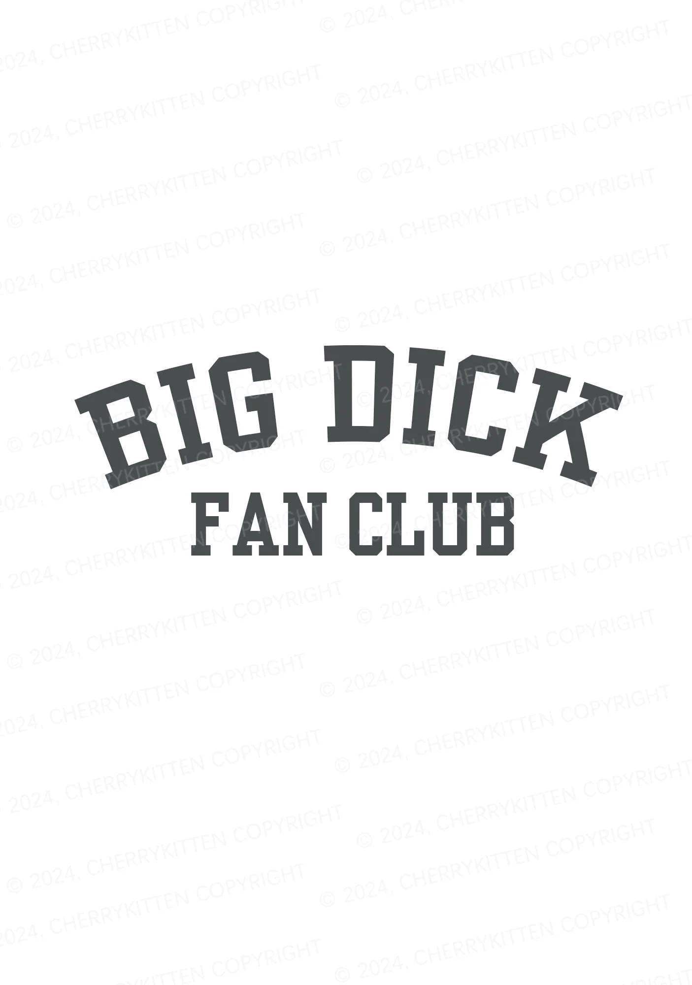 Big Fan Club Y2K Mid Rise Waist Boyshort Cherrykitten - Image 2