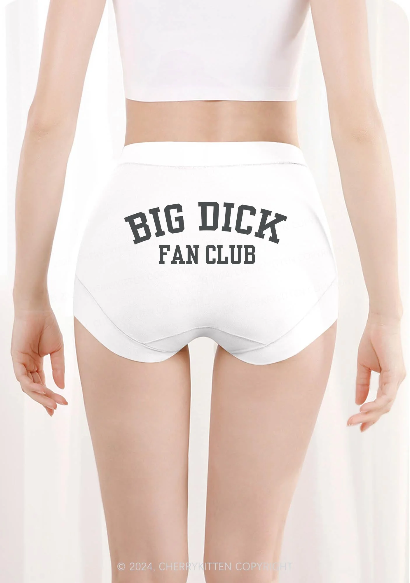 Big Fan Club Y2K Mid Rise Waist Boyshort Cherrykitten - Image 3