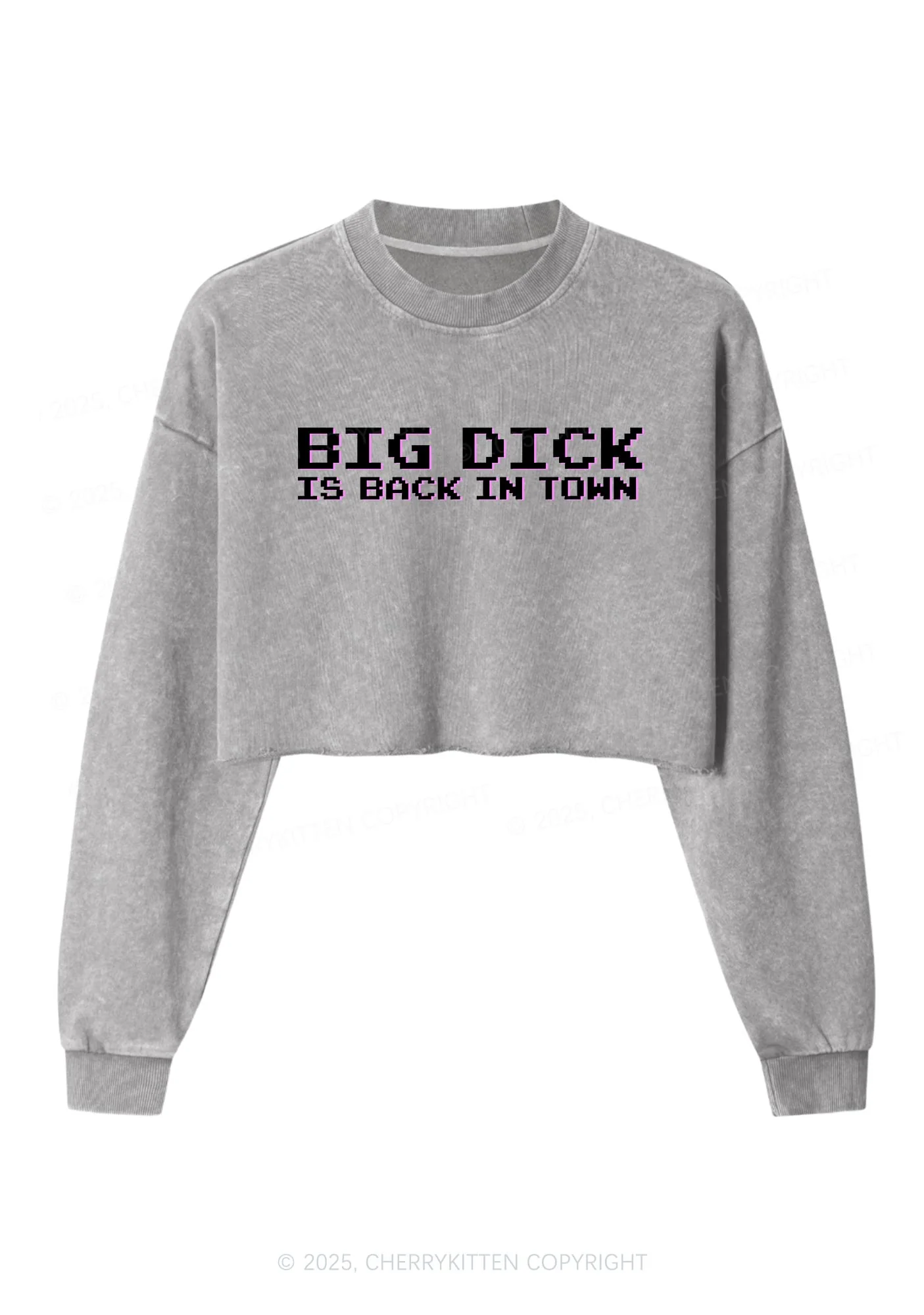 Big Is Back In Town Y2K Crop Washed Sweatshirts Cherrykitten - Image 4