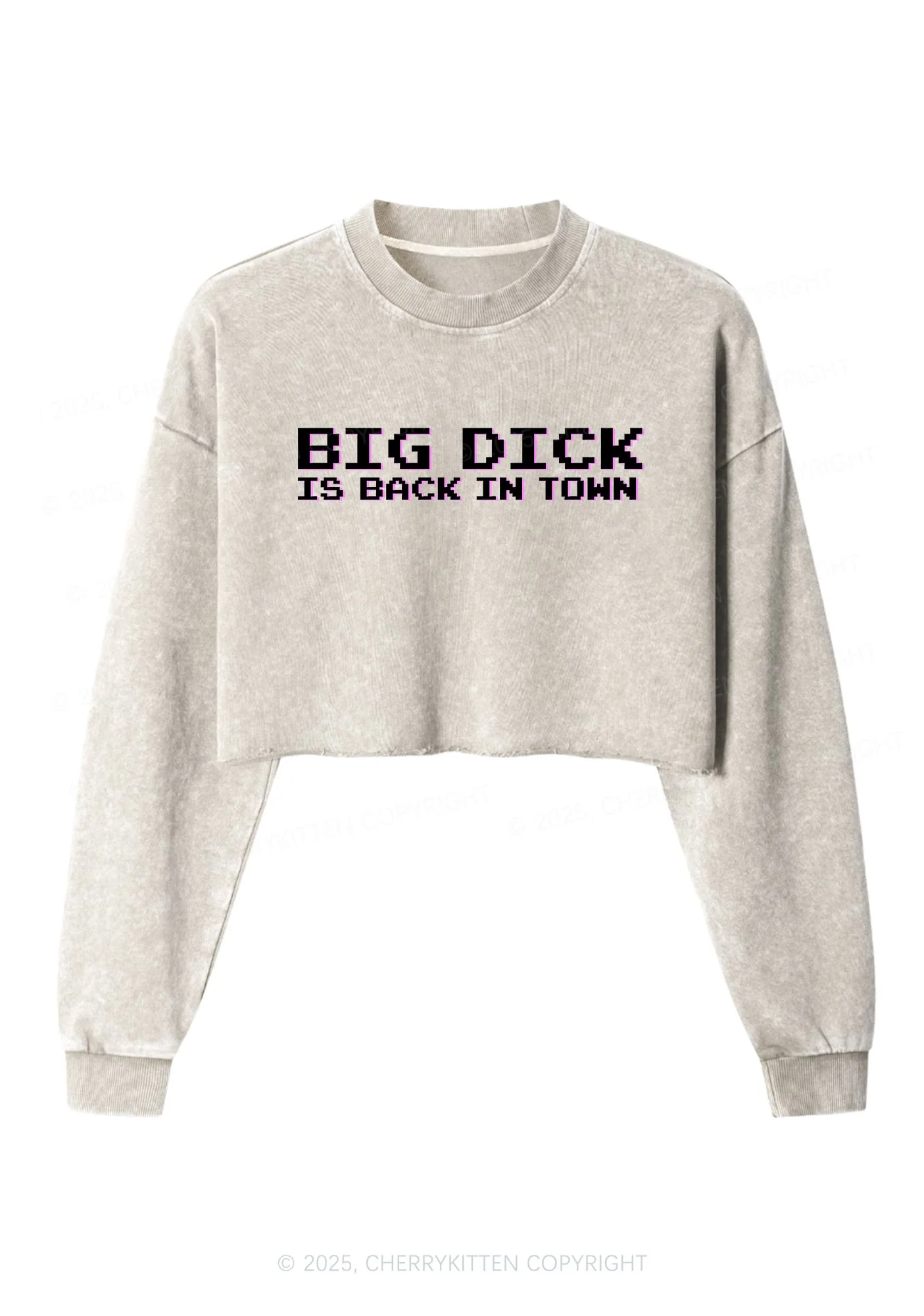 Big Is Back In Town Y2K Crop Washed Sweatshirts Cherrykitten - Image 5